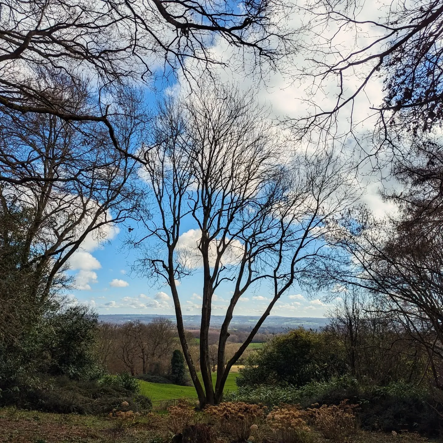 New Season, same gorgeous Riverhill.....We will see you TOMORROW. 

2026 season - let's go!

__________________________________________________________________

#sevenoaks #kent #newseason #samegorgeousgarden #gardensofkent