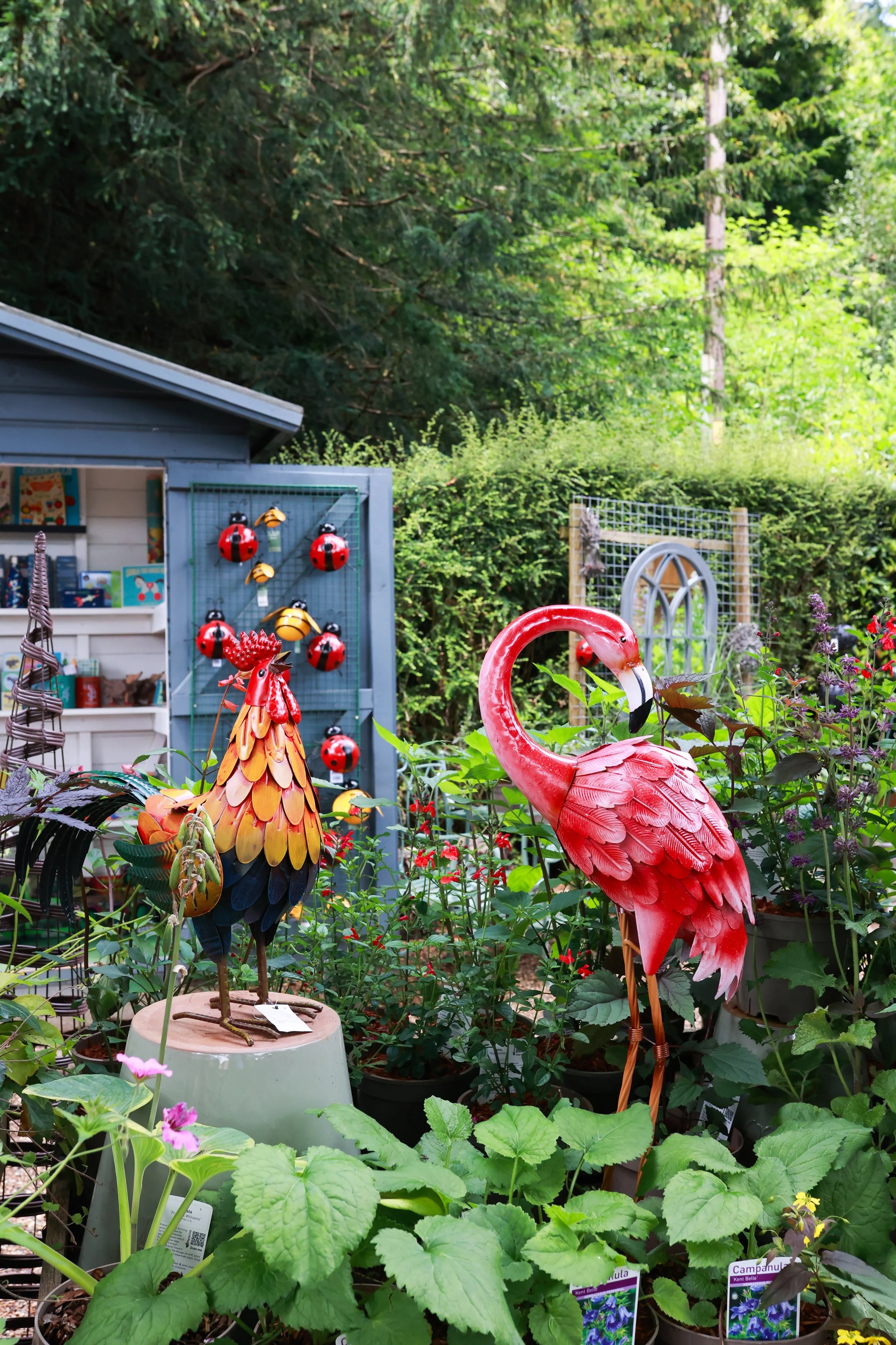 20240717121029_0V1A5447 (1).jpg