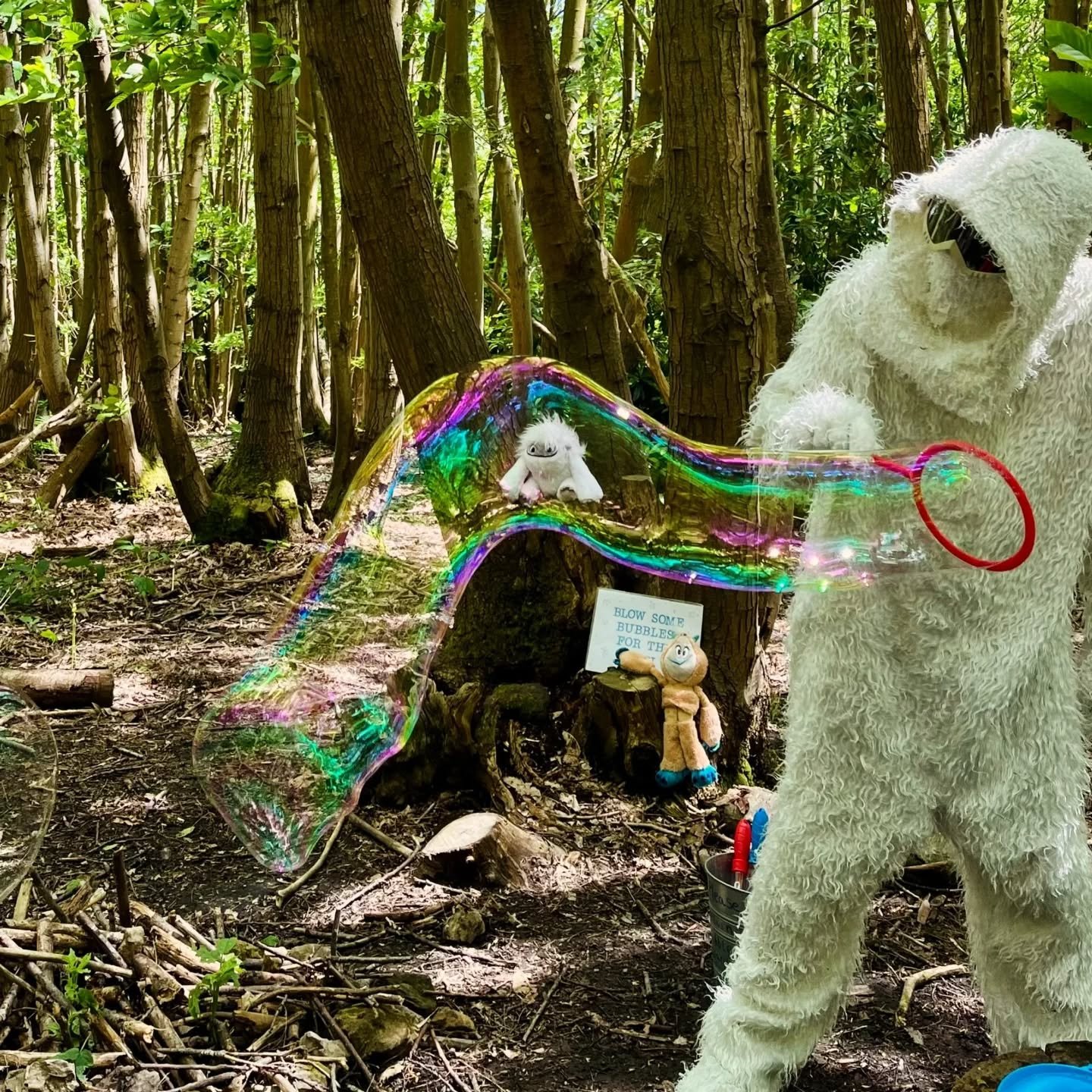 Don't forget to go say hi to our Yeti, it's been a long lonely winter for him and he's excited to have friends again.

You'll find him in the Chestnut Woods 2-4 on Weekends and School Holidays ( unless he has a lacrosse fixture or a music exam, he pl