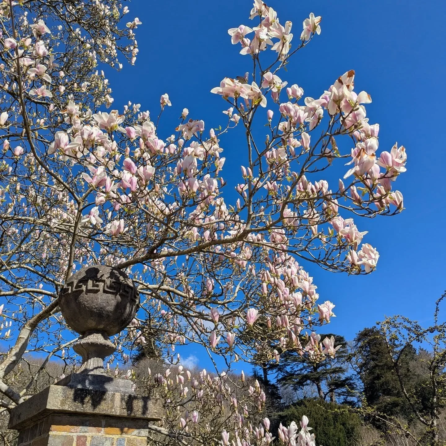 Oh.My.Days. Everywhere is STUNNING.

No filter.

Expect some very exuberant posts and even more !!!!!!!!!!!! Than usual!!!!!!!!

Please, please come and see this for yourselves x !!!!!!!!!!!!

_________________________________________________________