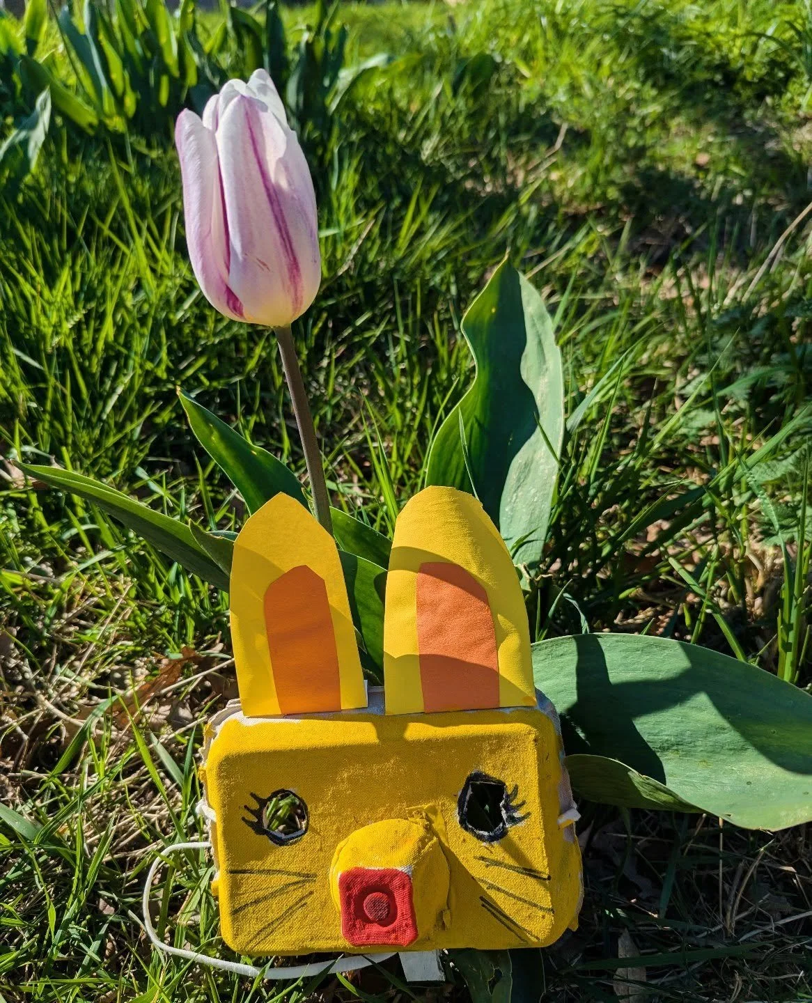 Last week of egg box mask making. Join us in the tipi 10-4, until Sunday, for some creative, crafty fun!

Plus masses of spring joy to fill your soul ( And coffee if you're in need of extra strong joy x) 

Then save the date for the Bluebell Festival