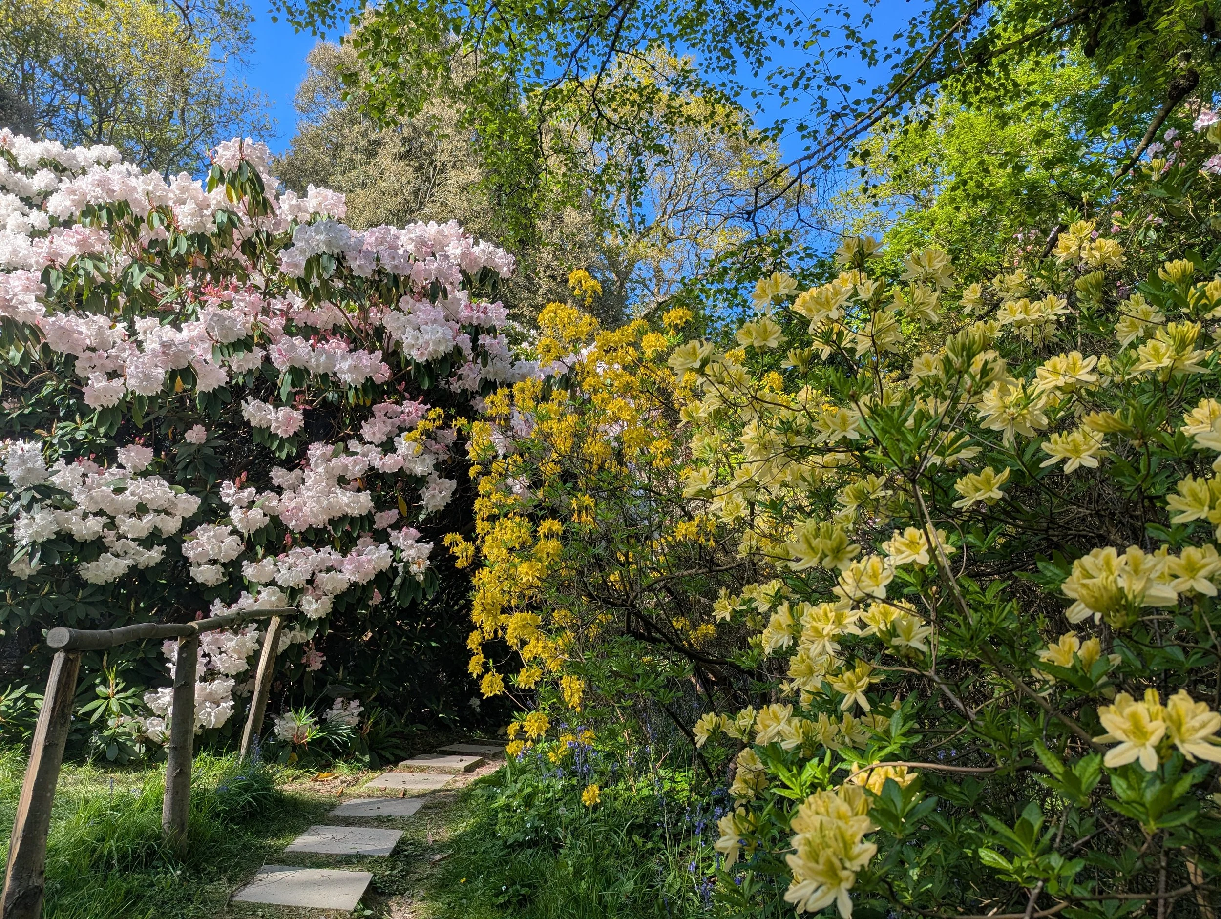 Time for a visit to the Gardens!