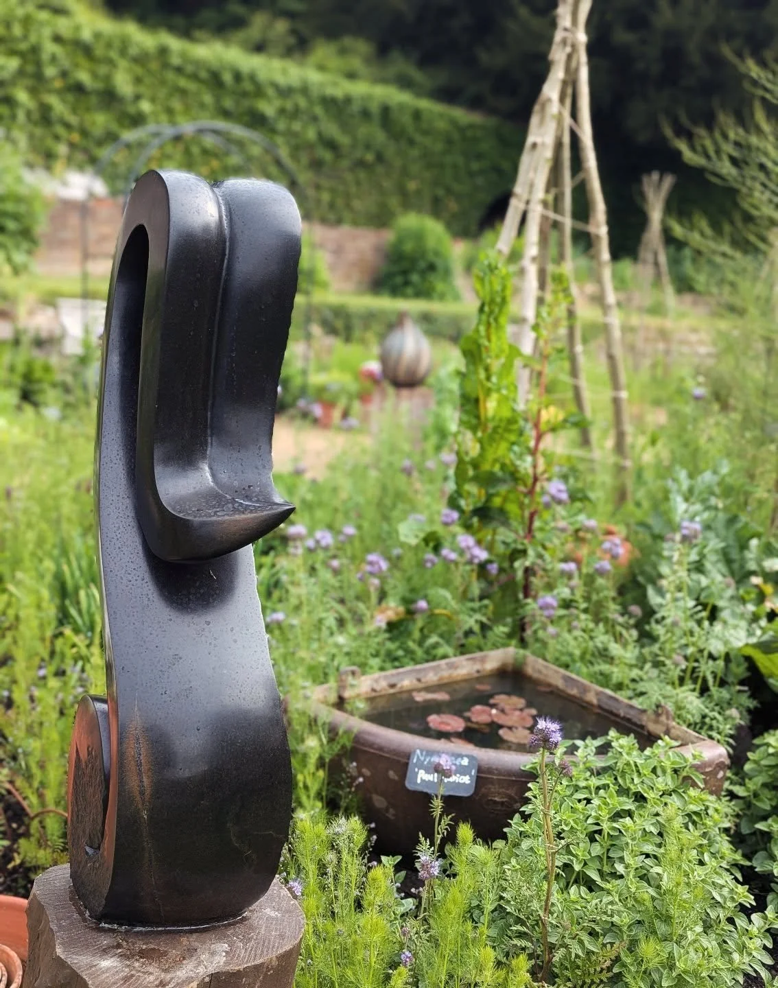 The perfect blend of art and nature. 

Beautiful artwork courtesy of @ronniessculptures

( "Musical Note" , spring stone, unique, &pound;750.)

Flourishing potager: Nature's own 

#surreysculpturesociety #sculpturegardens #sculpturetrail #p
