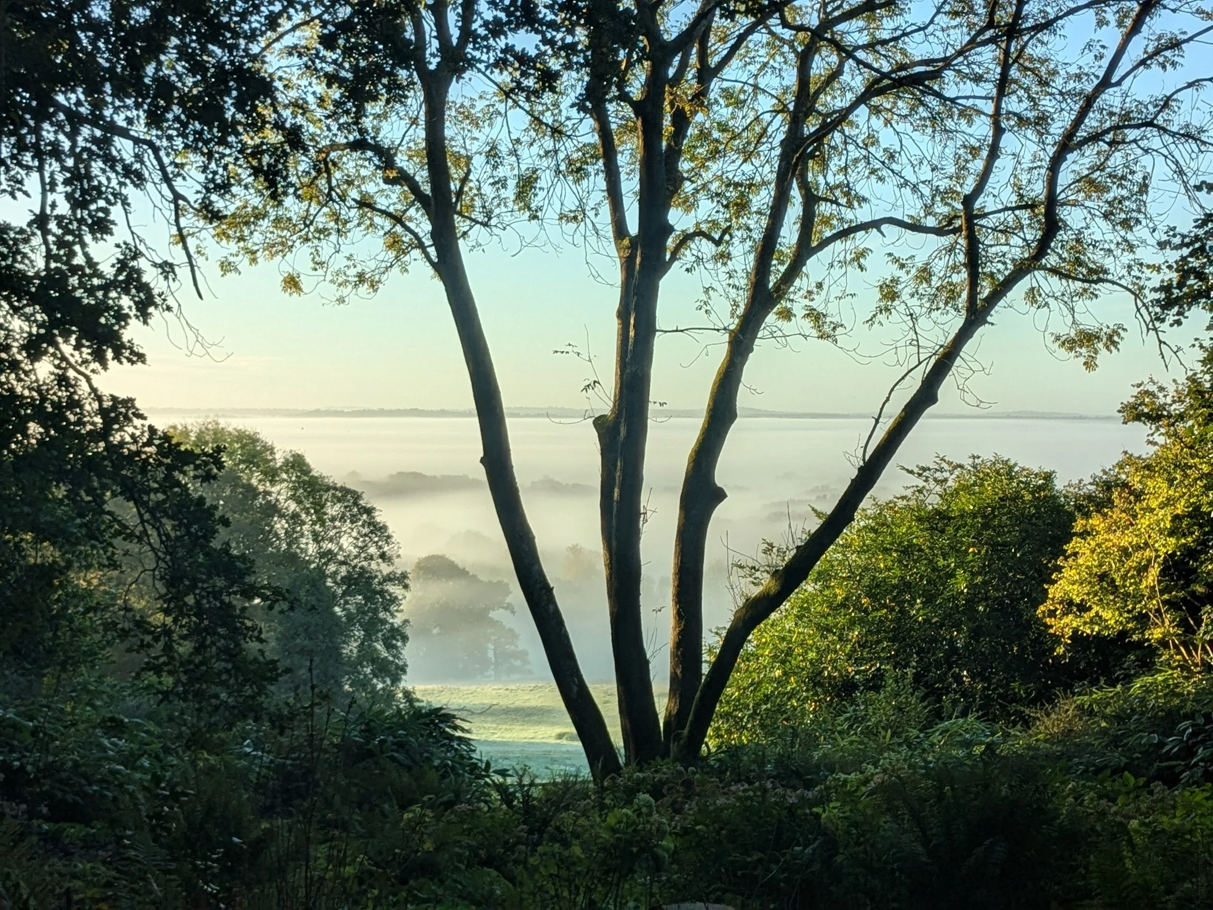 Head Gardener's (Final) Blog: On Leaving Riverhill