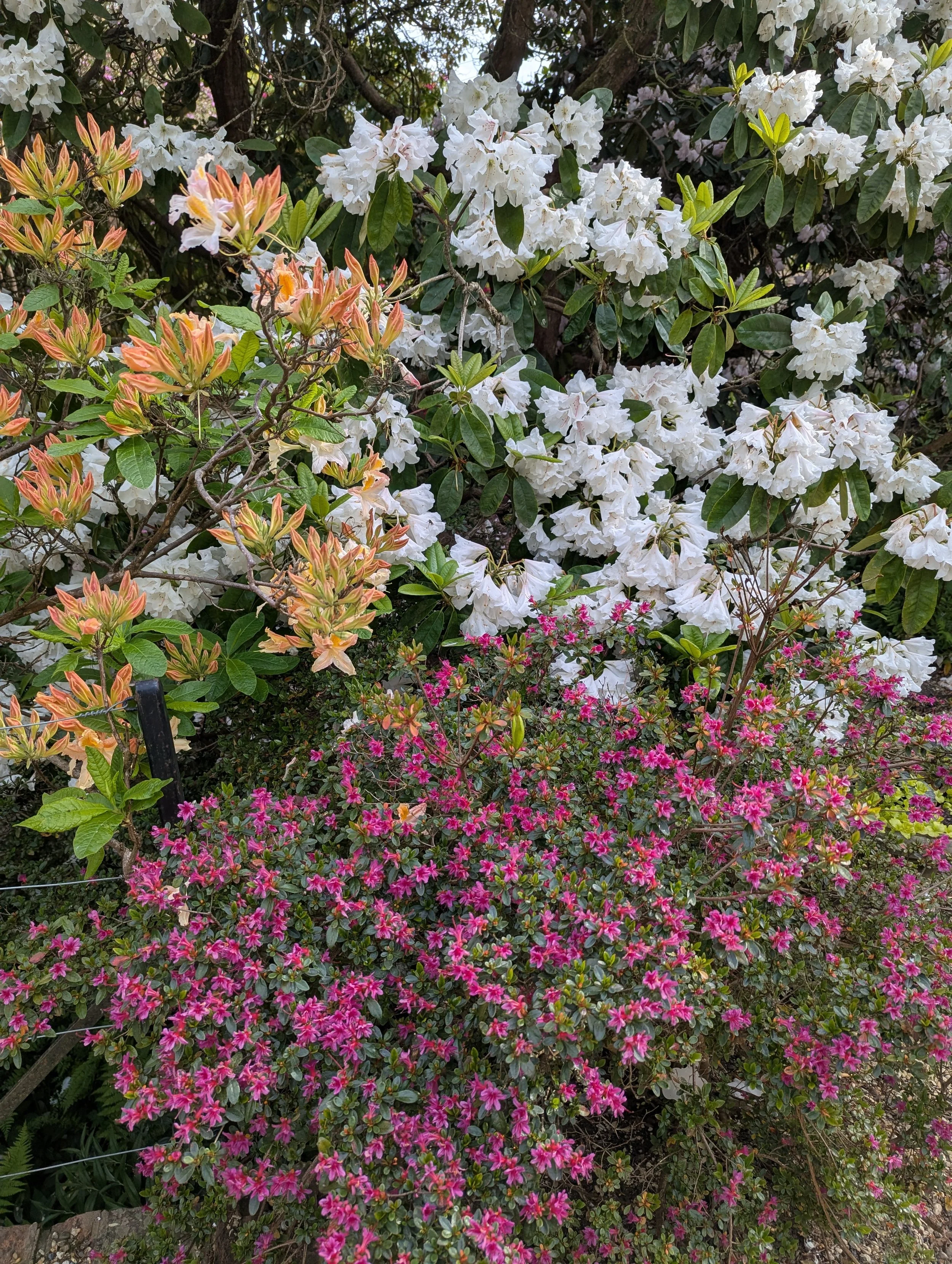 Head gardener - We are in the process of appointing a new Head Gardener