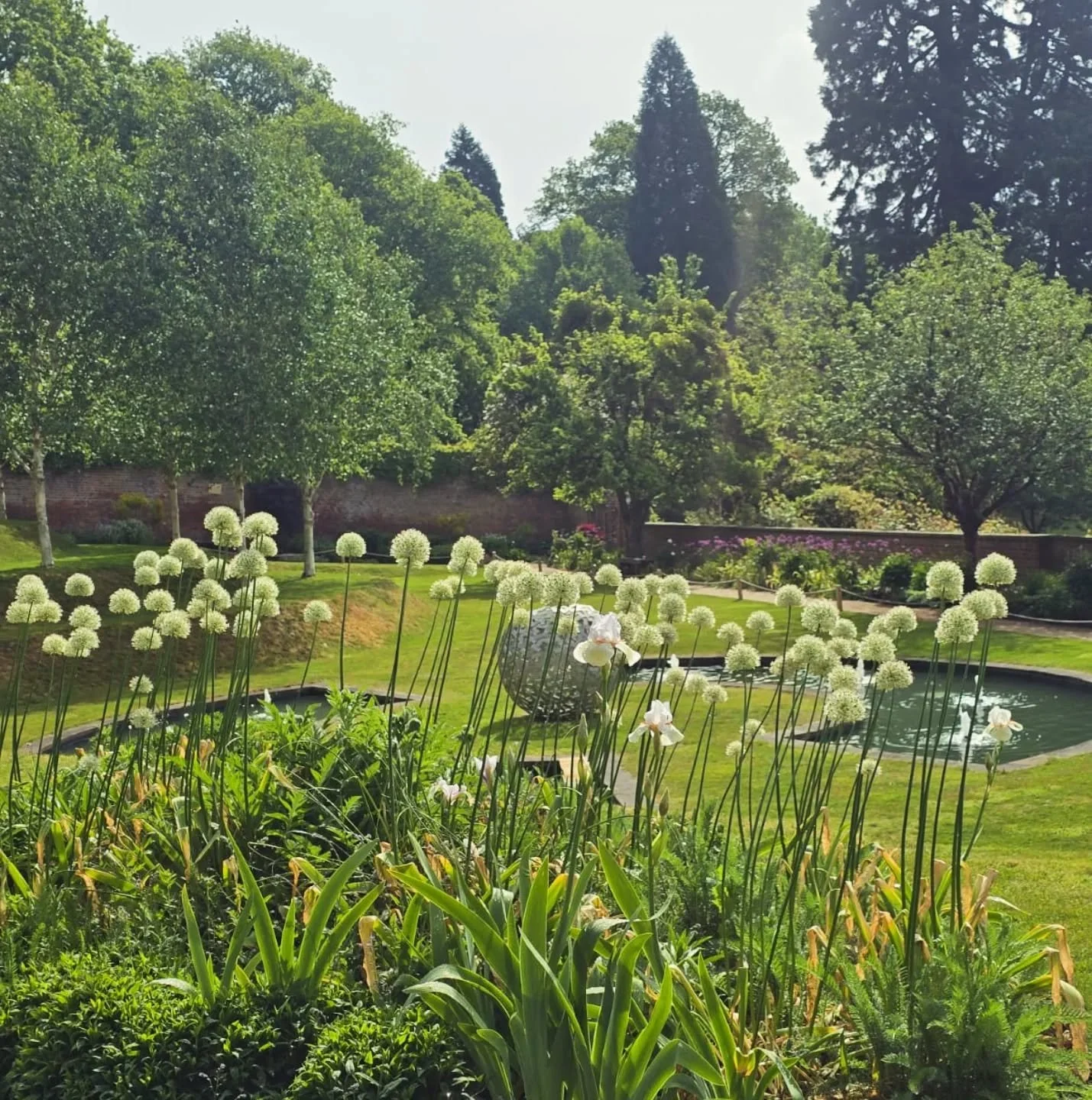 Ok...lots to tell you......

Long weekend ahead, AND half term. 

Weather is looking dreamy. 

Alliums are blooming, gardens are spectacular.

Tonight there is still time to get tickets for @handlebards performance of 'As you Like It'. Spontaneous Fr