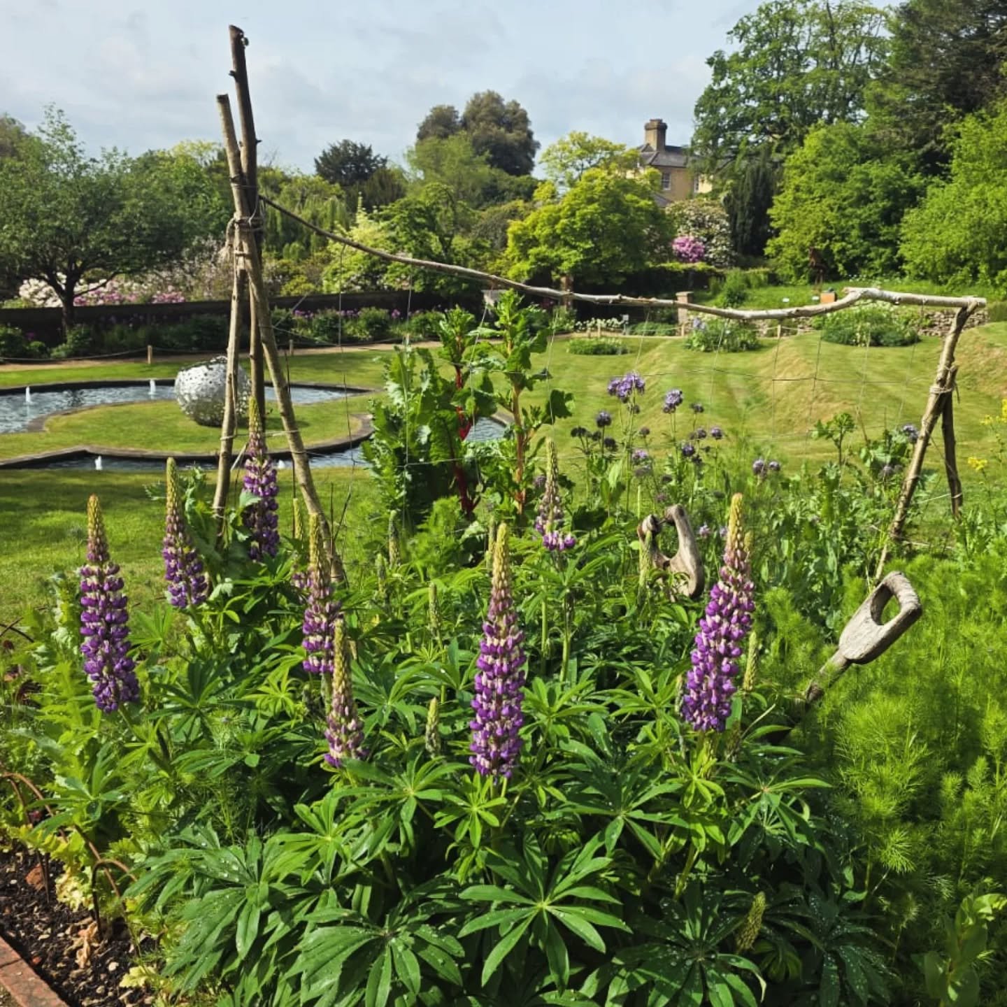 The gorgeousness continues 

#sevenoaks #kentonline #kent #kentgardens #gardensinmay