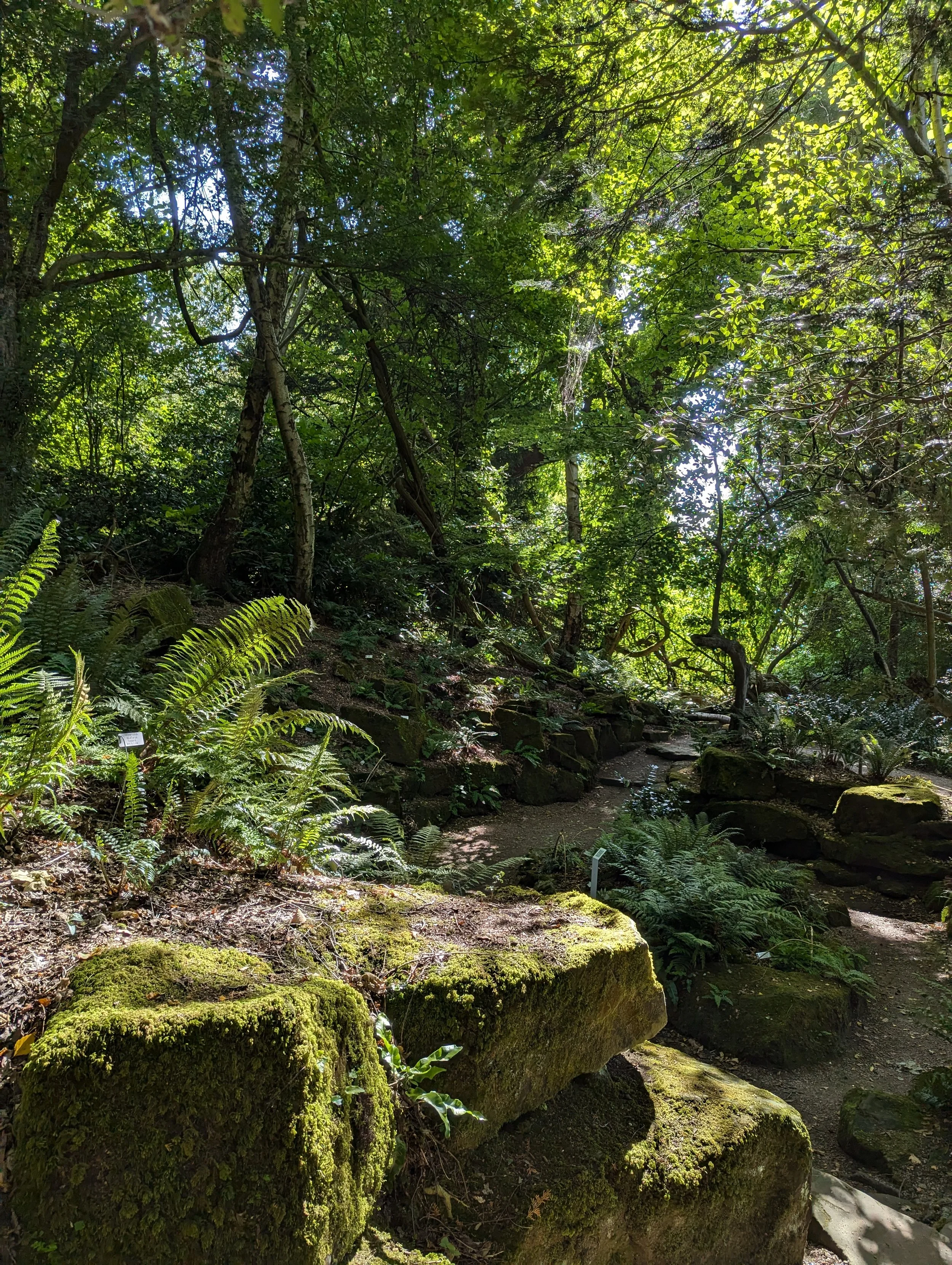 SAVE THE DATE: Fern Festival 27th - 28th June