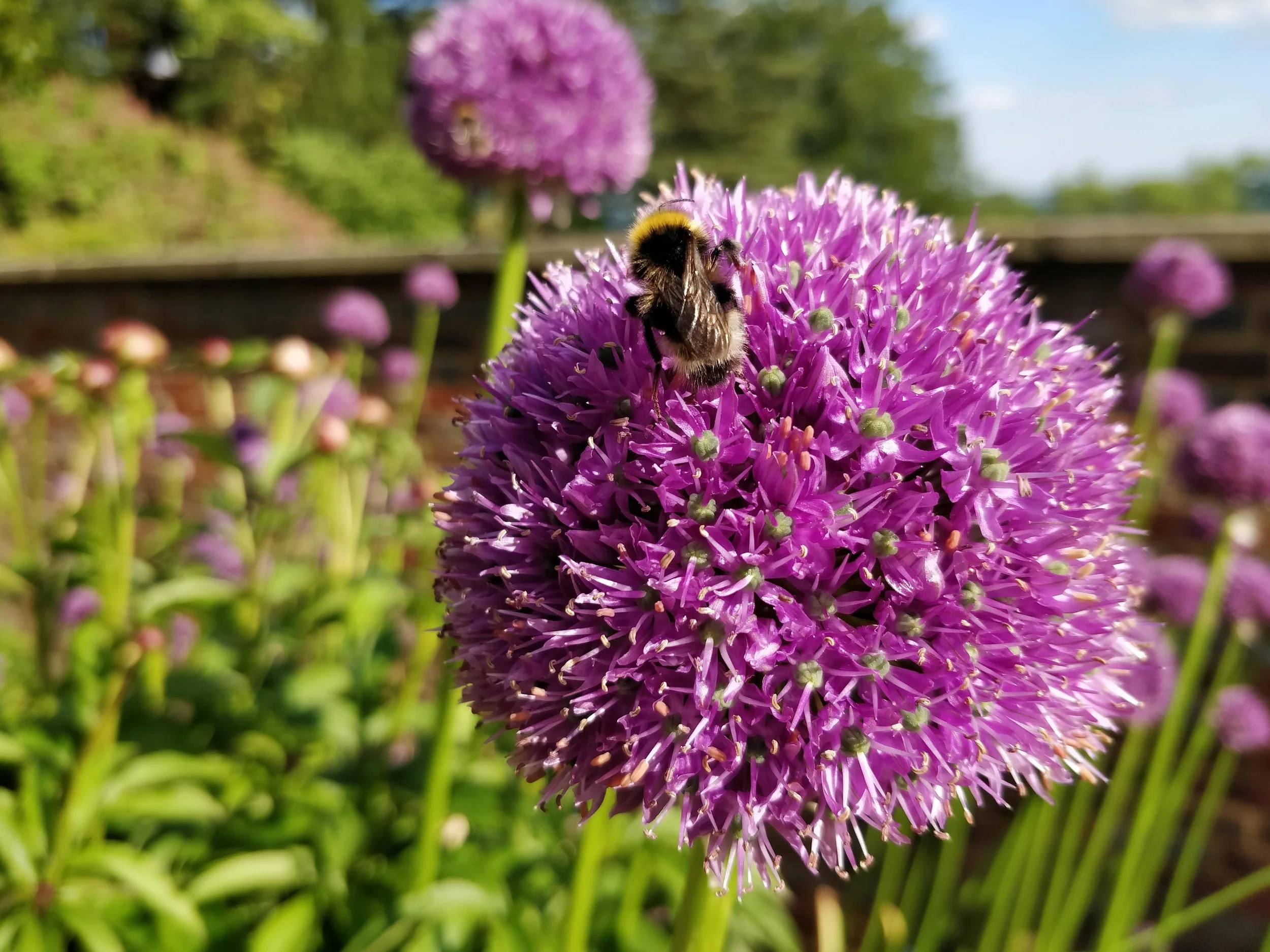 The Riverhill Bee Blog: Part I - Spring in the Hives