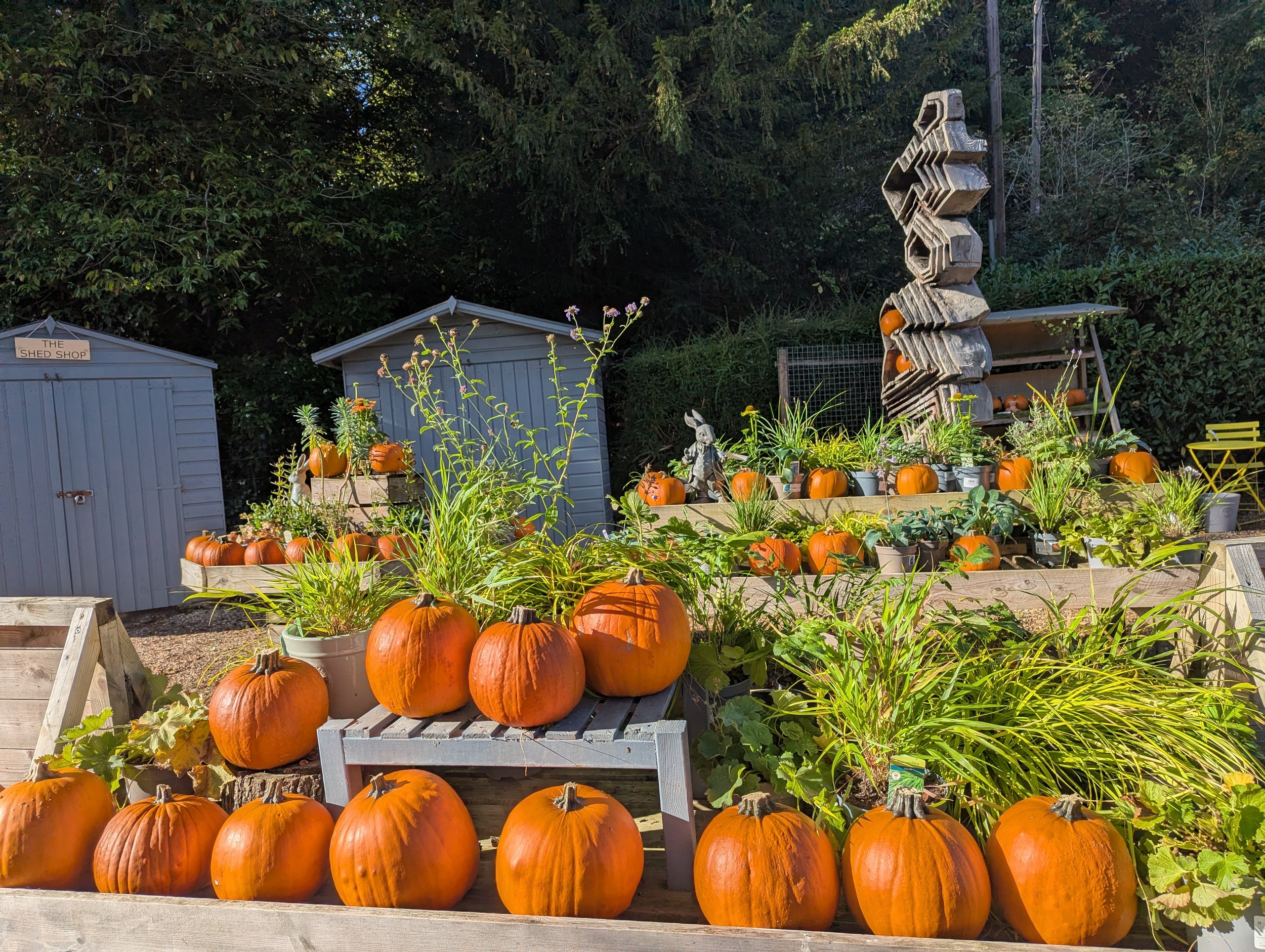 THE PUMPKIN FESTIVAL: 17th Oct - 1st Nov
