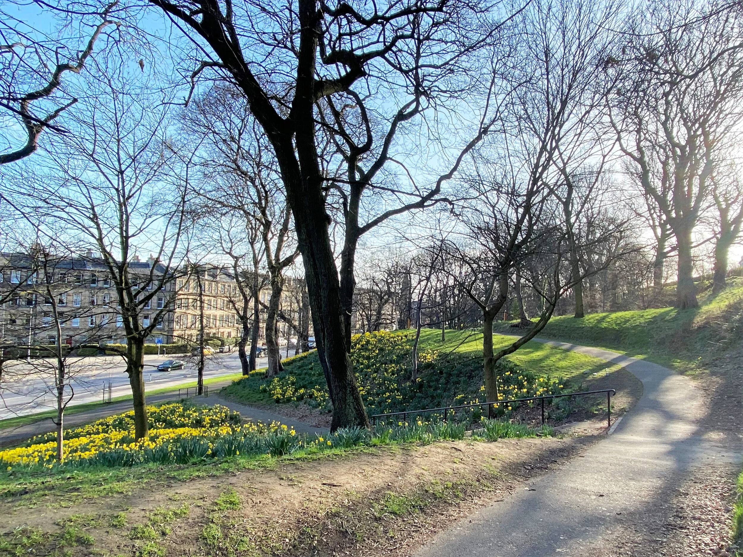 Hillside Street — Connell & McFadden