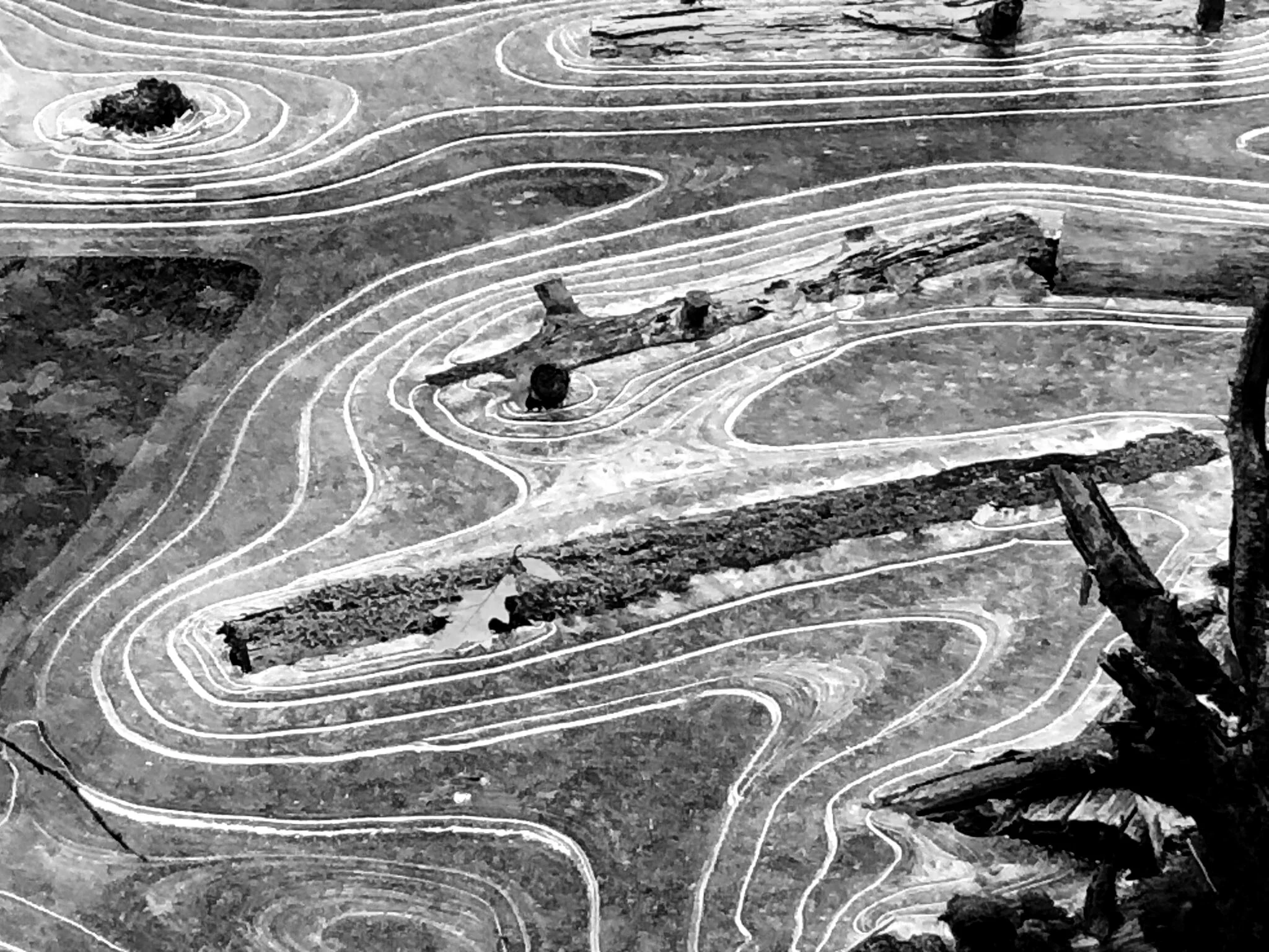 stotts_landscape_7.jpg