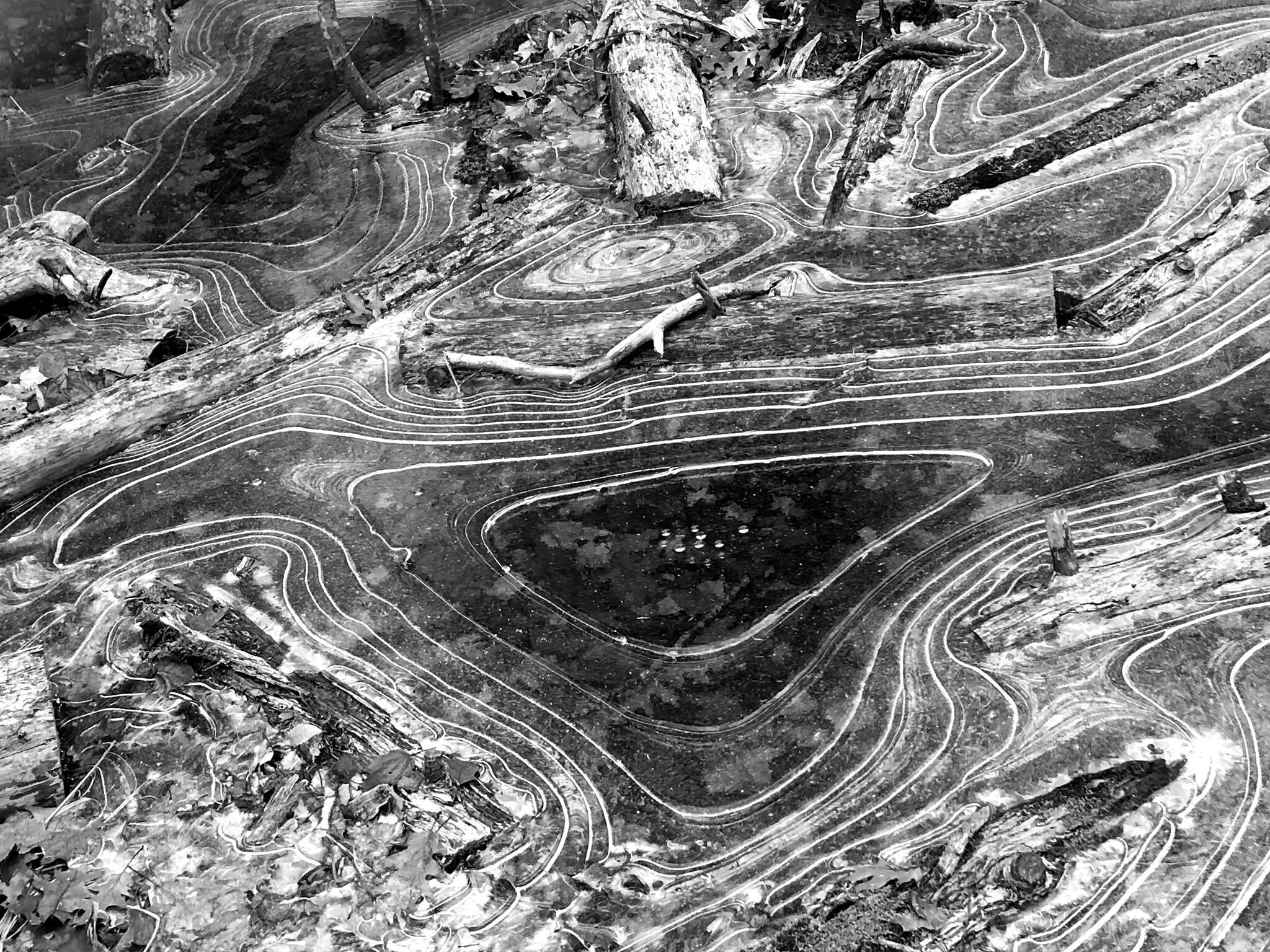 stotts_landscape_2 copy.jpg