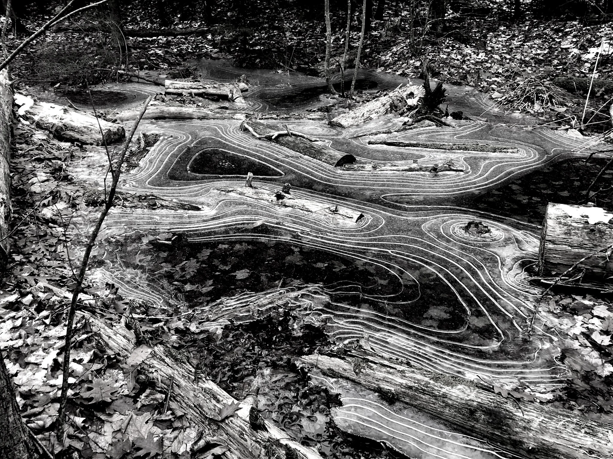 stotts_landscape_5 copy.jpg