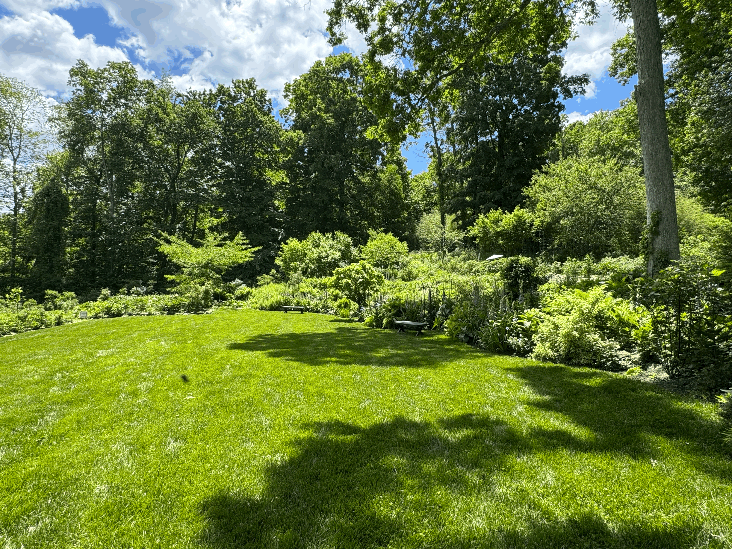 Outdoor Yoga & Sound Healing in the Flowers at Cricket Hill Garden