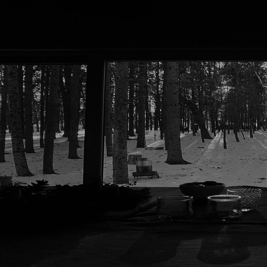 l  i  g  h  t   +  s  h  a  d  o  w   .   .   .   view from the dining table
