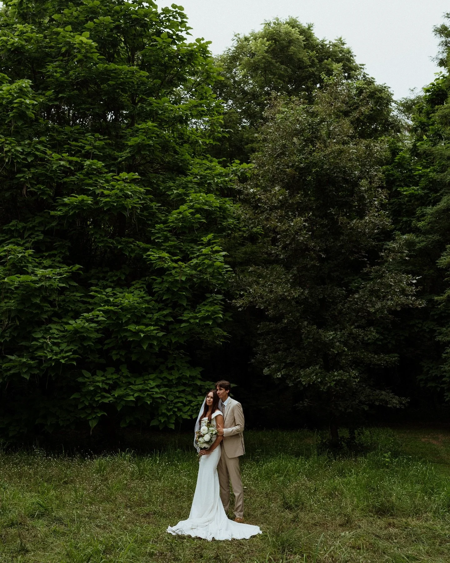 let&rsquo;s go get married in the trees 🌲