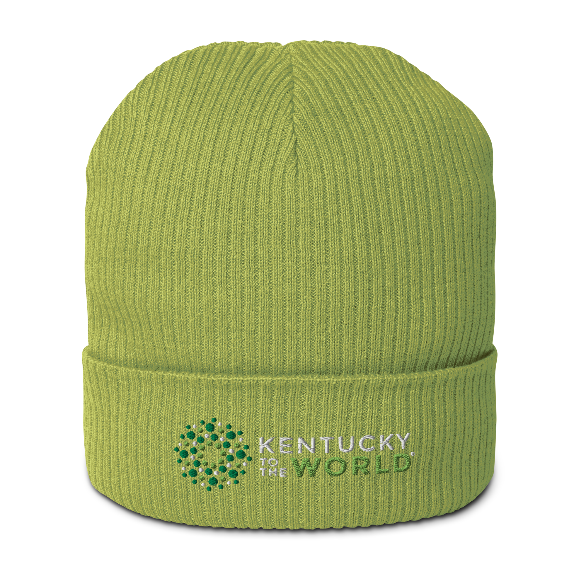 organic-ribbed-beanie-leaf-green-front-6924819ccec55.png