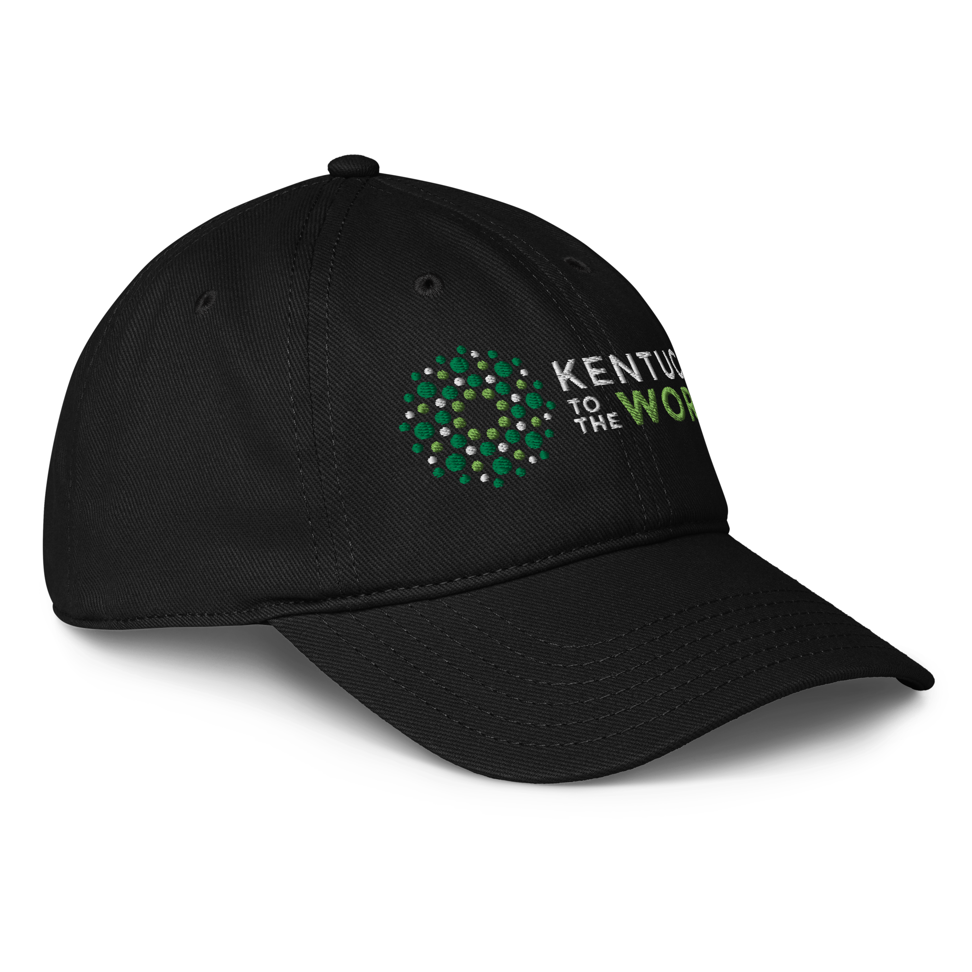 low-profile-baseball-cap-black-right-front-6924a3056b75f.png