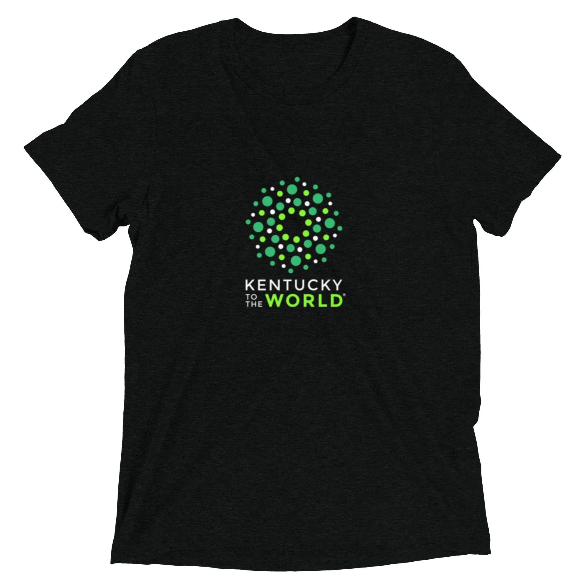 unisex-tri-blend-t-shirt-solid-black-triblend-front-6925c8ae638ca.jpg