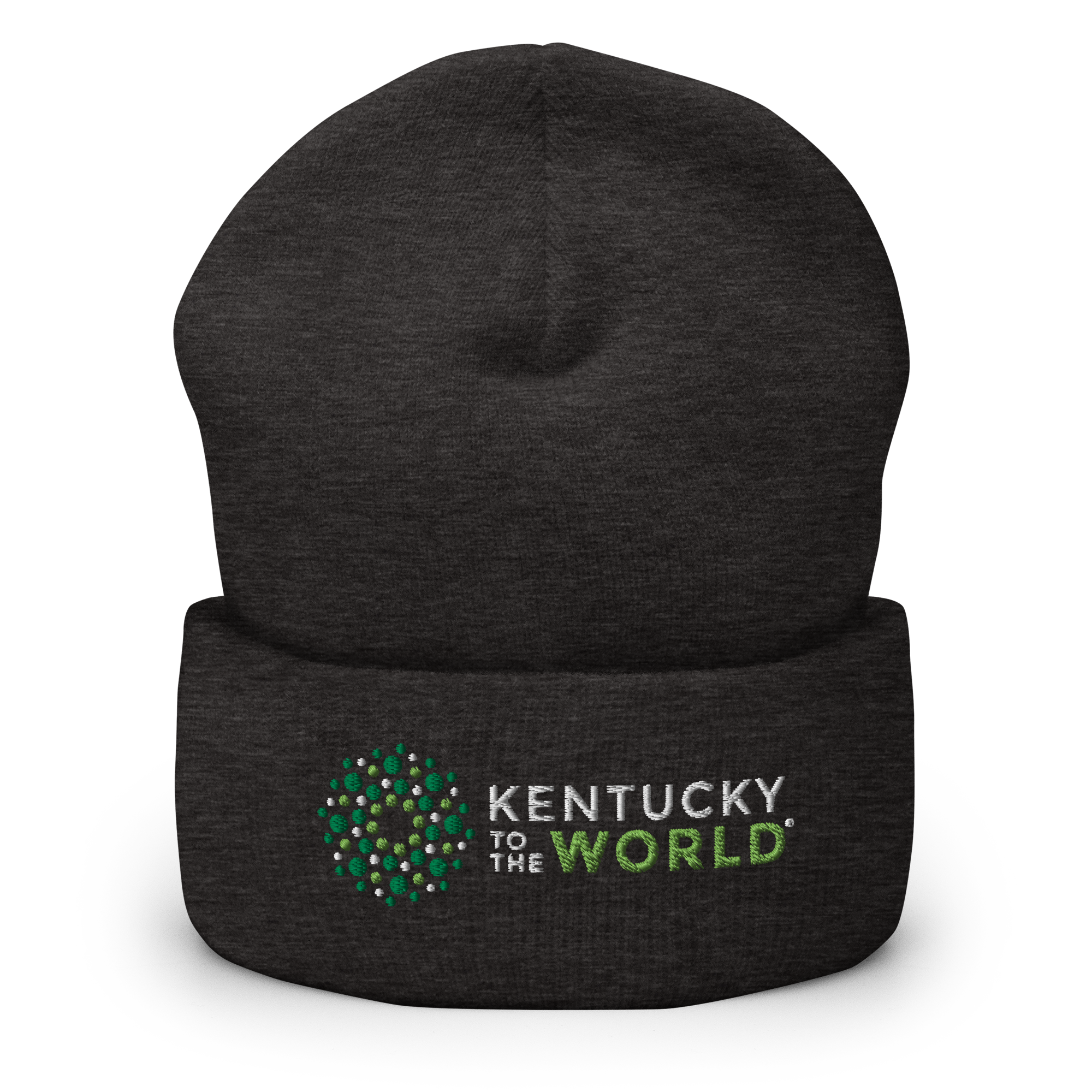 cuffed-beanie-dark-grey-front-69277063af0e7.png