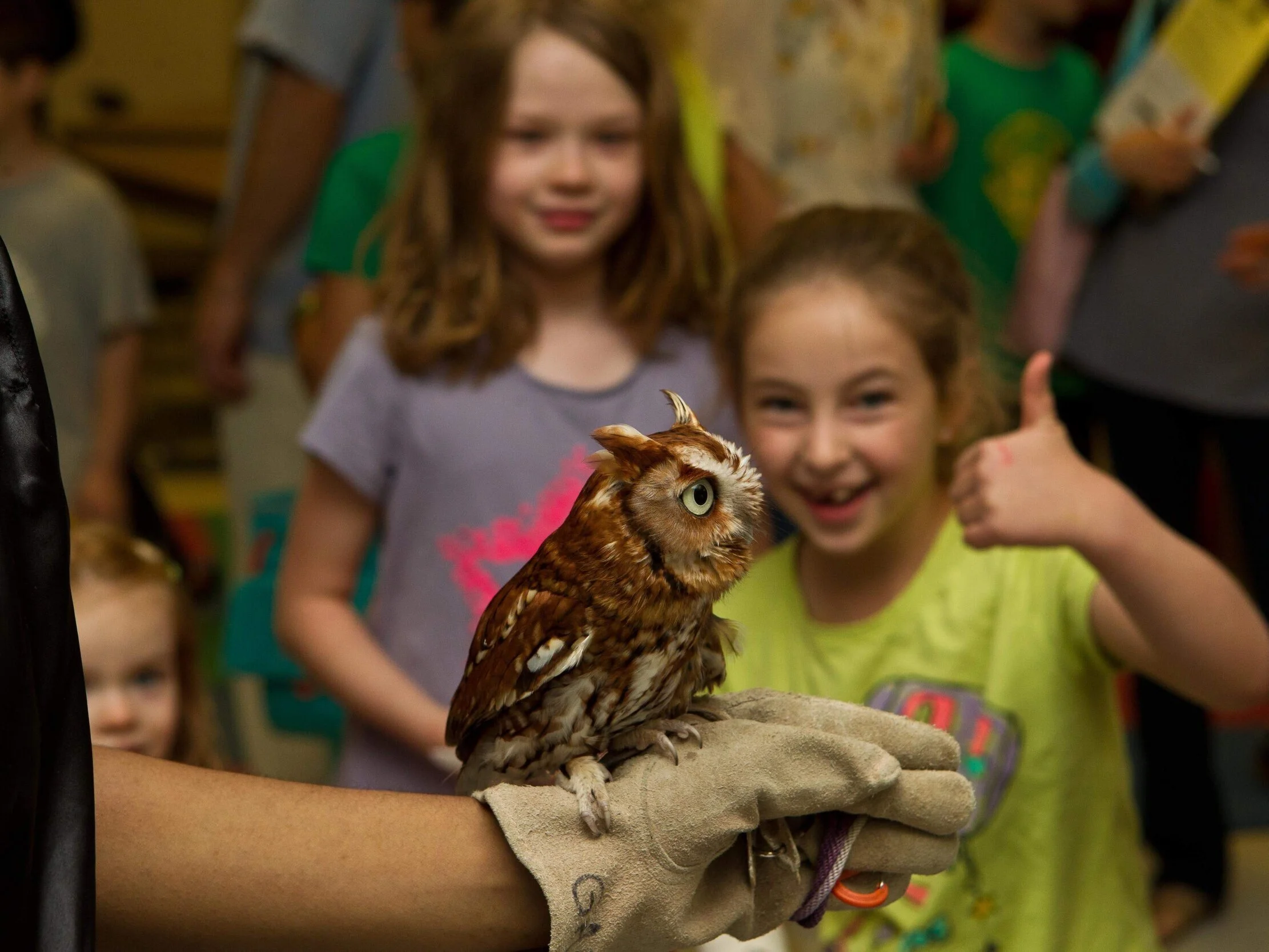 Animal Encounters