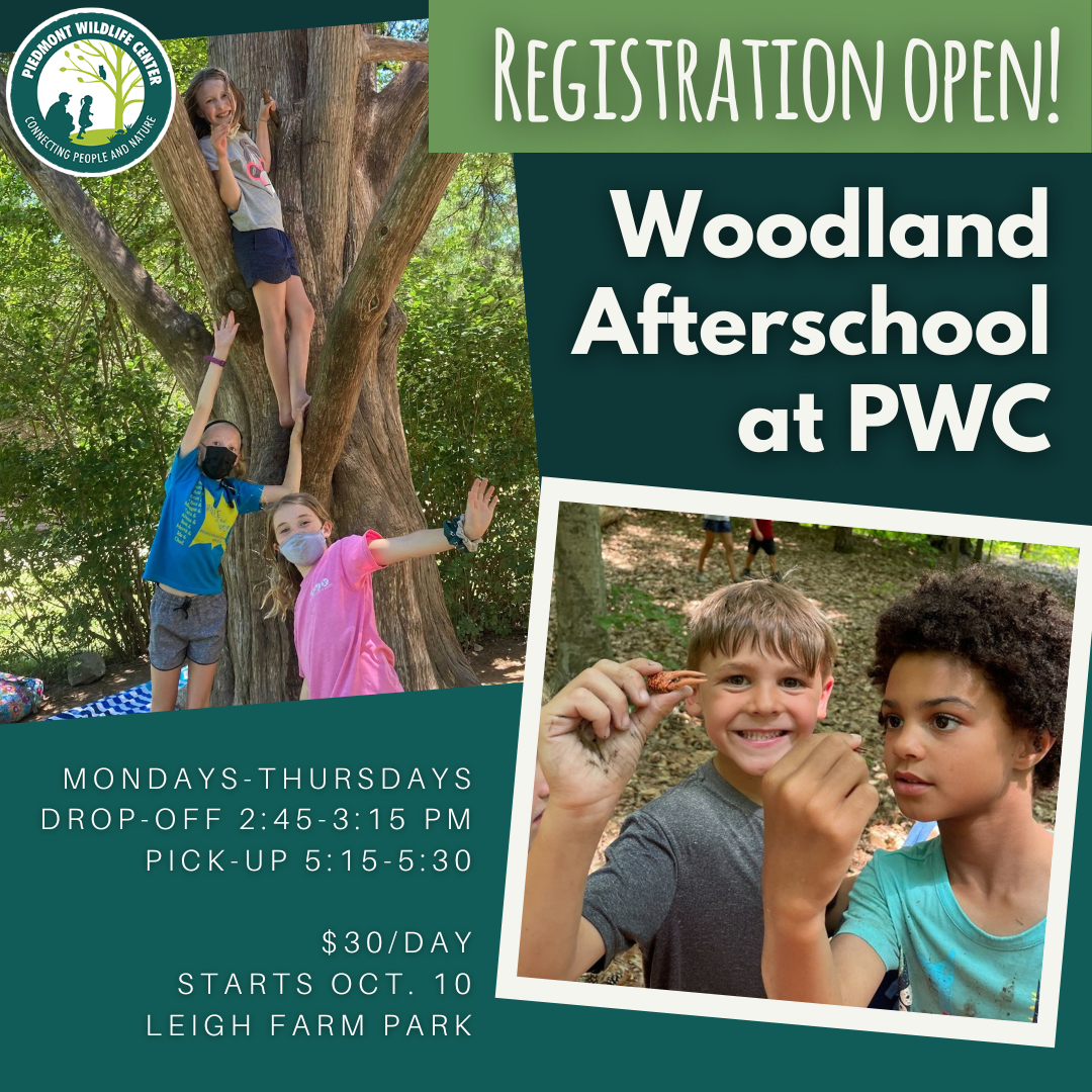 Registration is open for Woodland Afterschool!