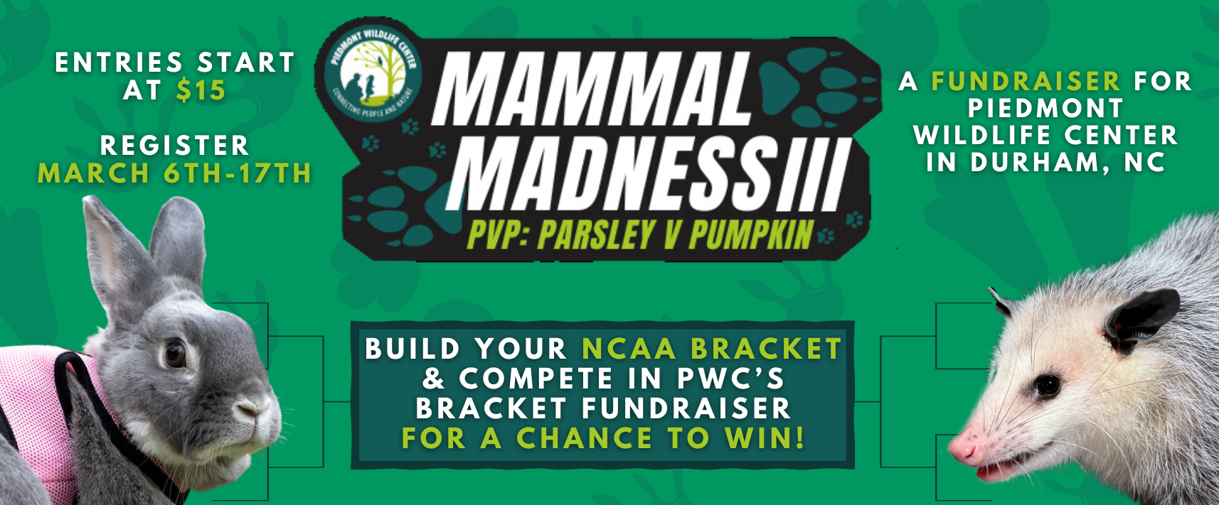 mammal madness website banner(2).png