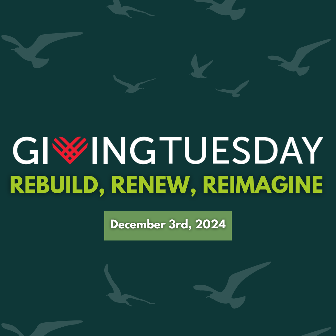 Giving Tuesday 2024 — Piedmont Wildlife Center