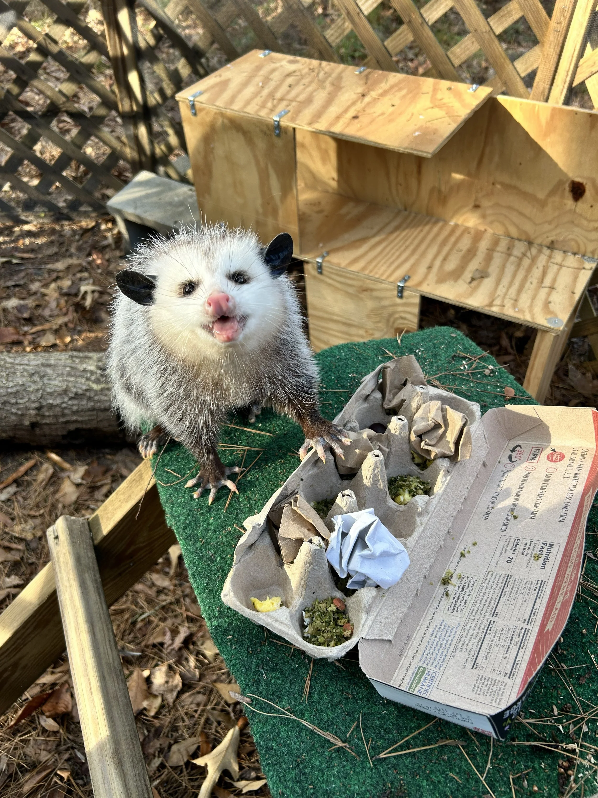 Will You Be Their Valentine? ❤️