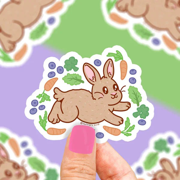 S-447-Pet-Rabbit-Vinyl-Sticker-Turltes-Soup.webp