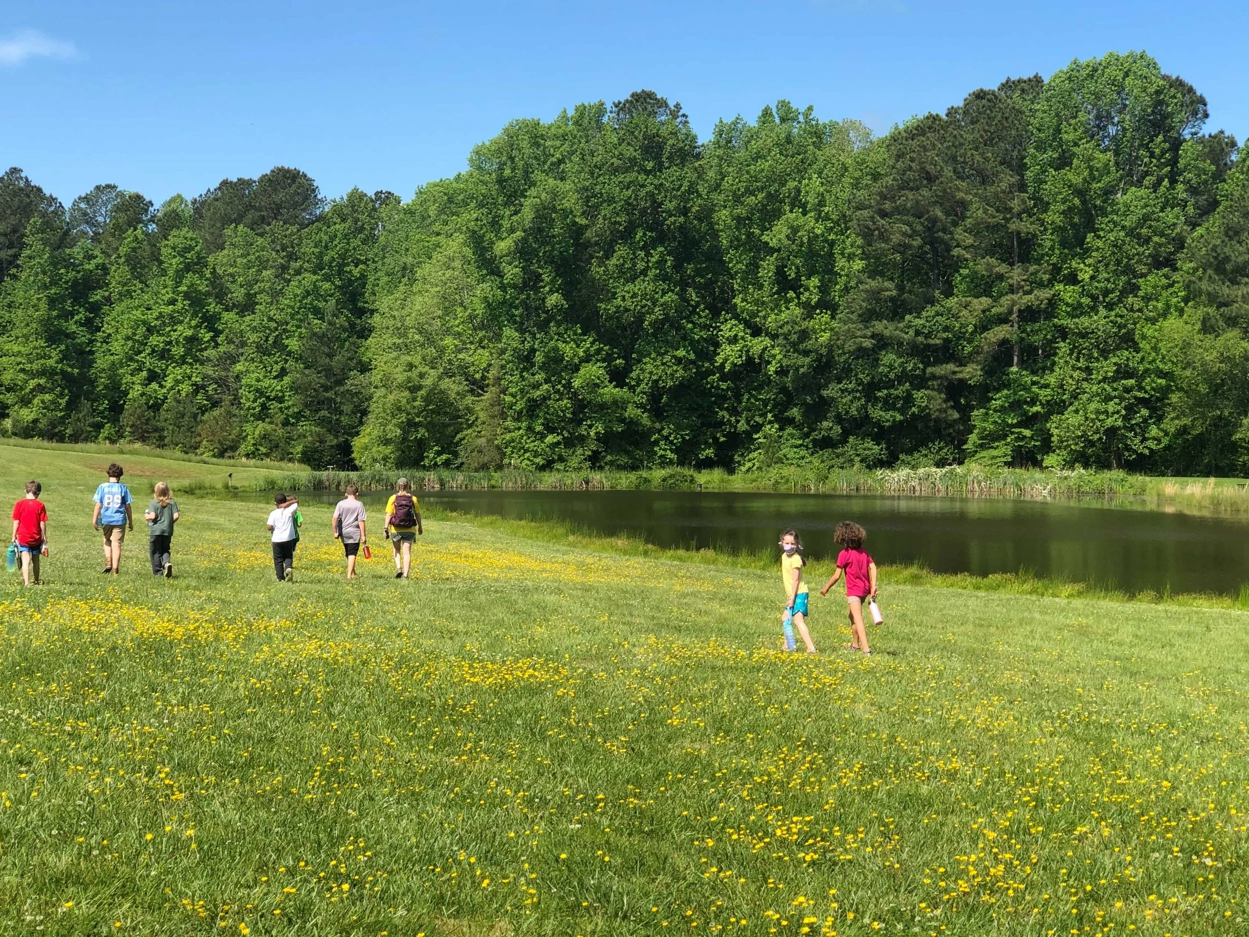 FAQ — Piedmont Wildlife Center