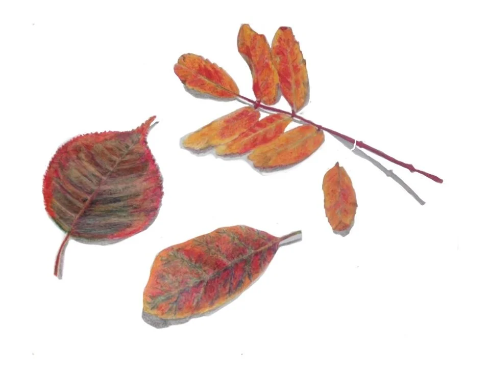Autumn Leaves