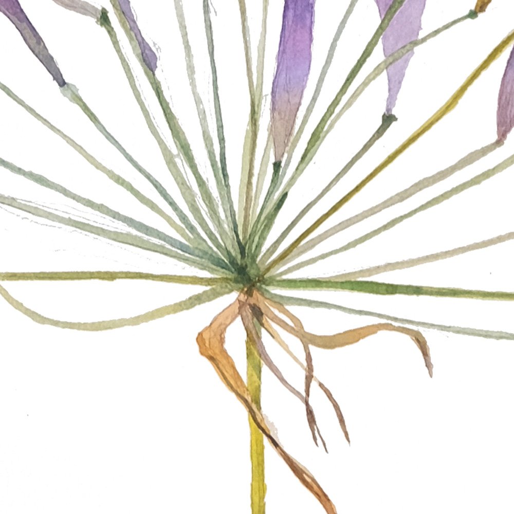 ILTHURIELSPEAR_detail1.jpg