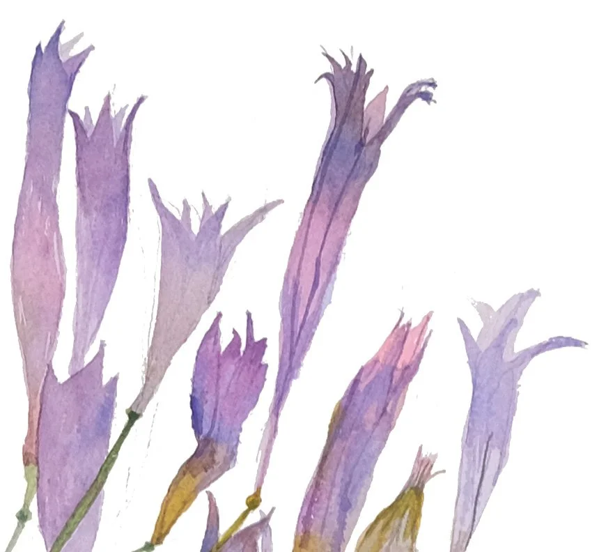ILTHURIELSPEAR_detail2.jpg