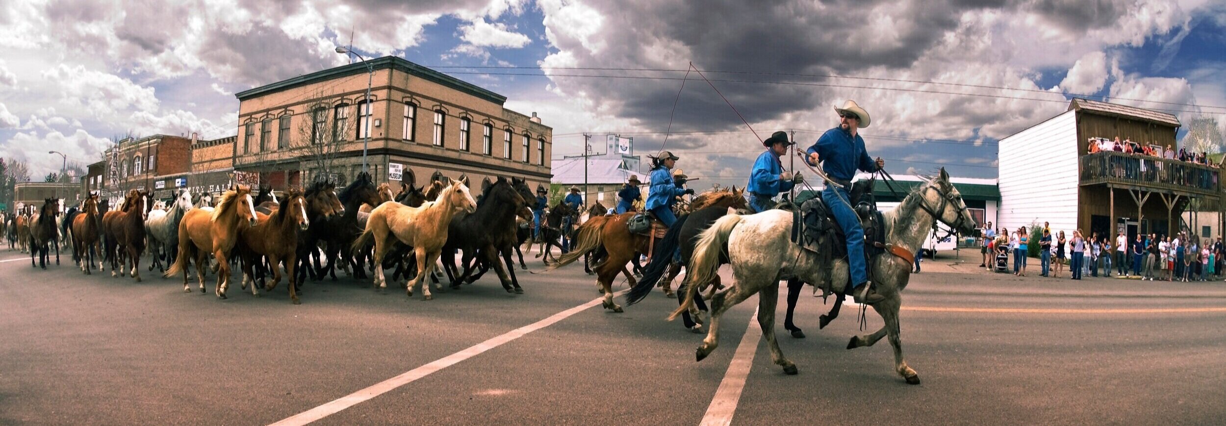 three-forks-montana-horses_BEN_5123.jpg