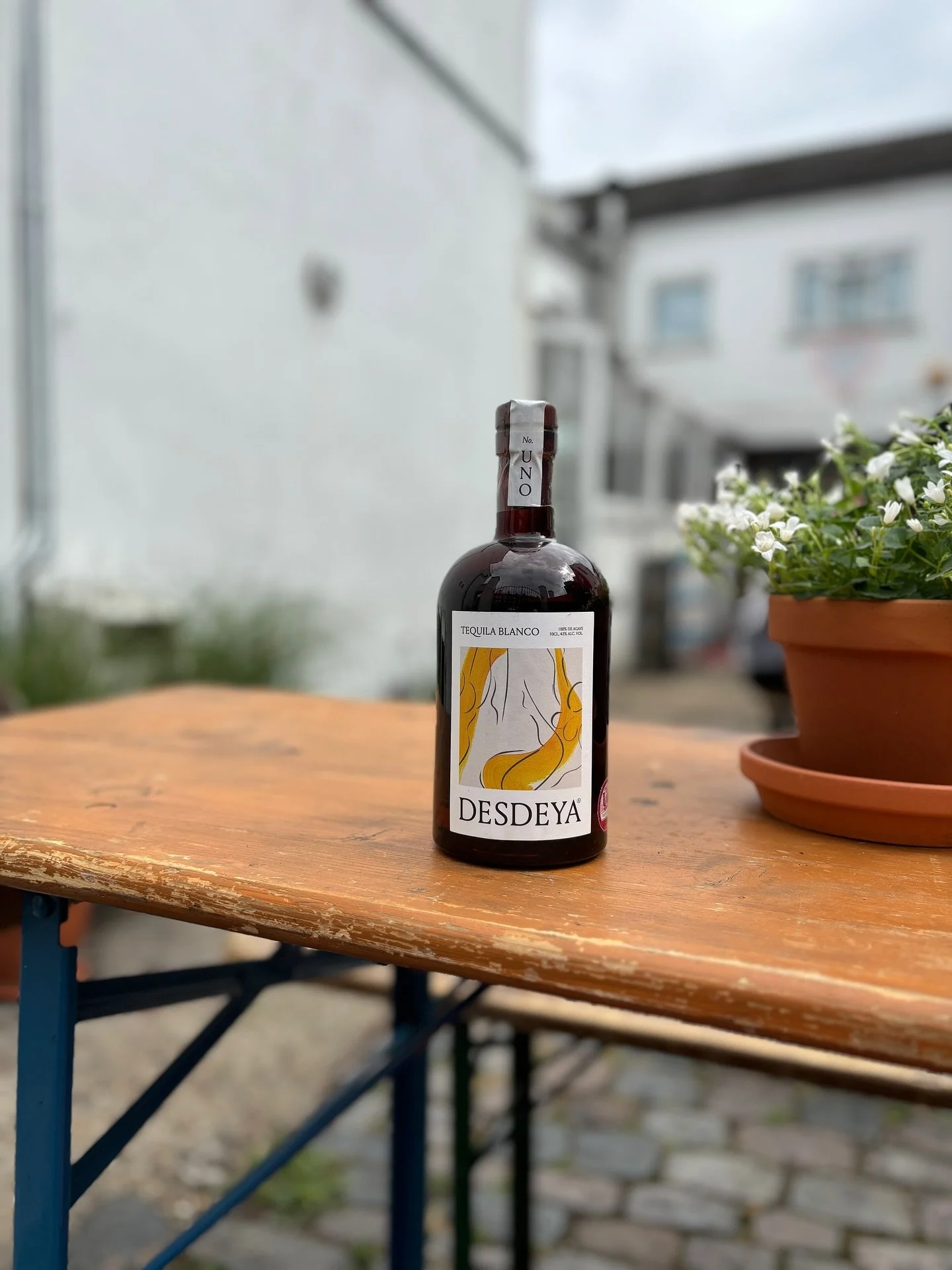 PROUD !

To say

We did up our little courtyard a bit, attracted some bees, levelled up and now we&rsquo;re partnering with the most delicious @tequiladesdeya to bring you &pound;8 margaritas in our little courtyard on Hackney Road all summer long. E