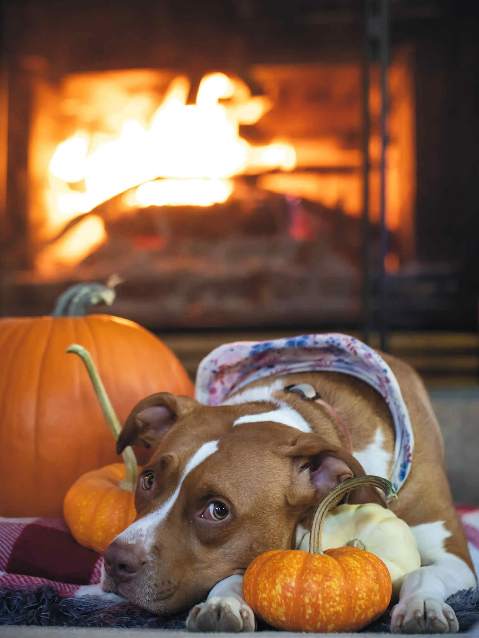 att.Em5oh8vuu9HQR95Cdut9uua-LwwG9ZKjAcTOv38SvYw 2.JPG