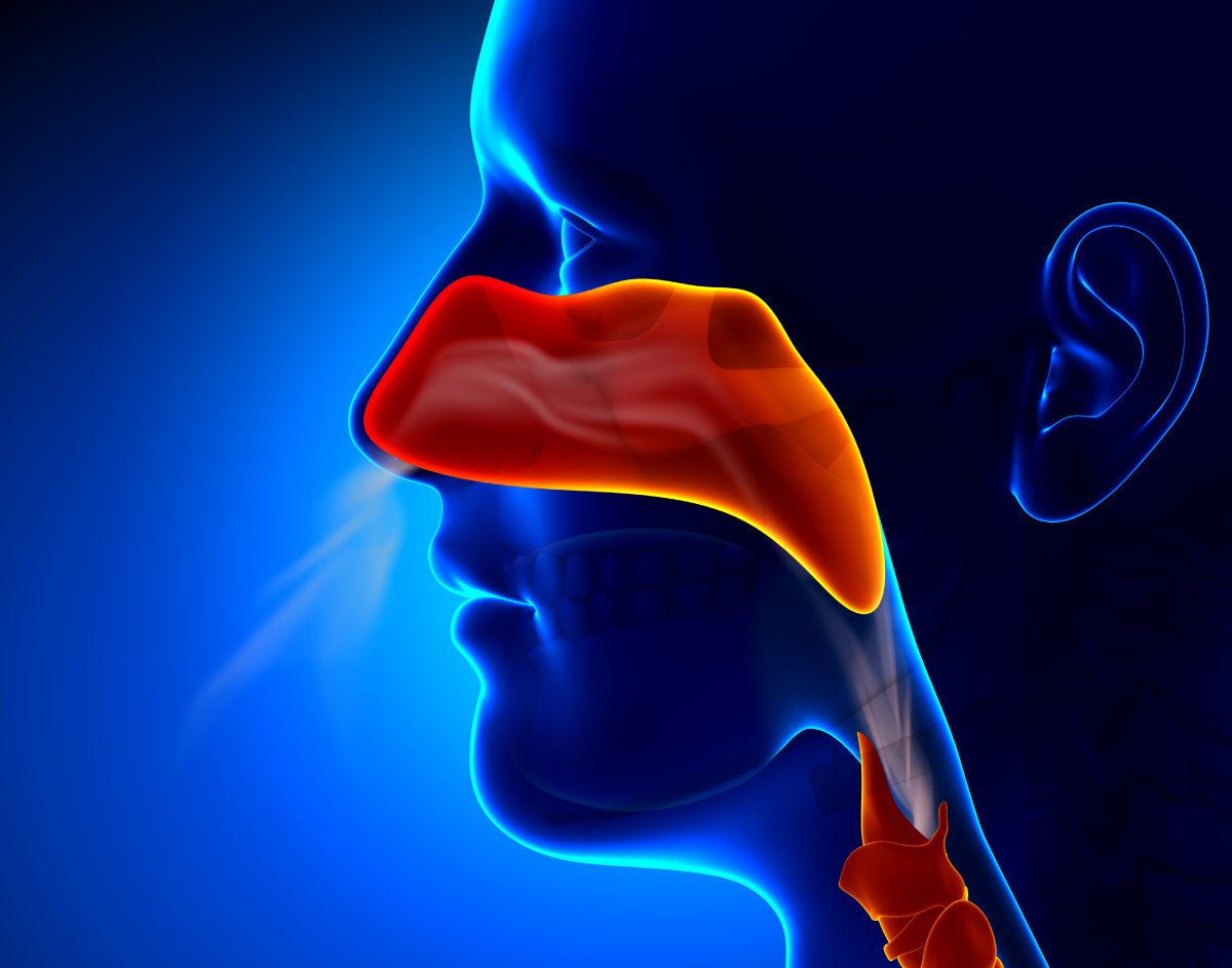 Acoustic Resonance Therapy: A Promising Approach to Improve CPAP Adherence
