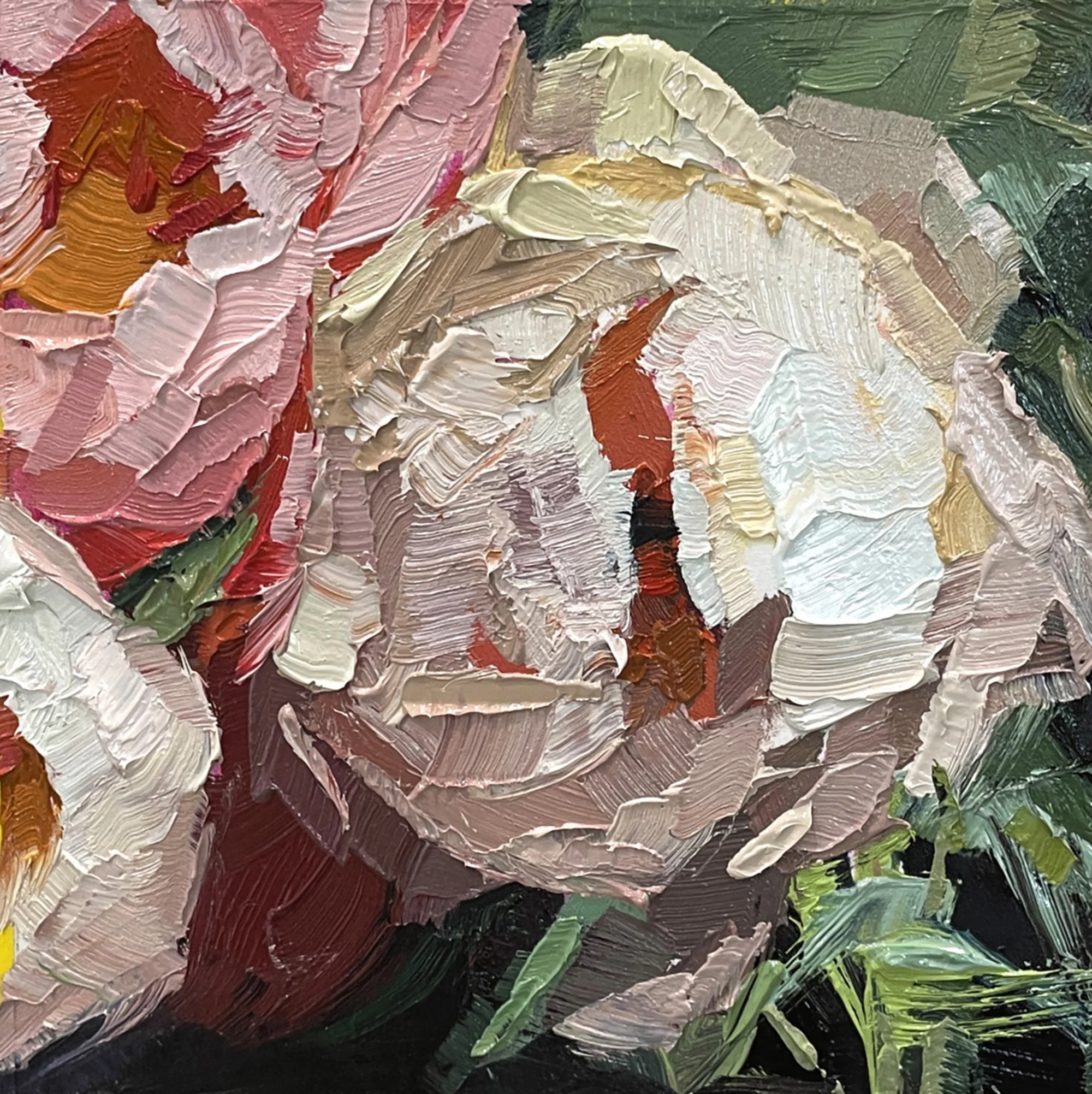 A Peony (2023), Oil on Paper, 6” x 6"