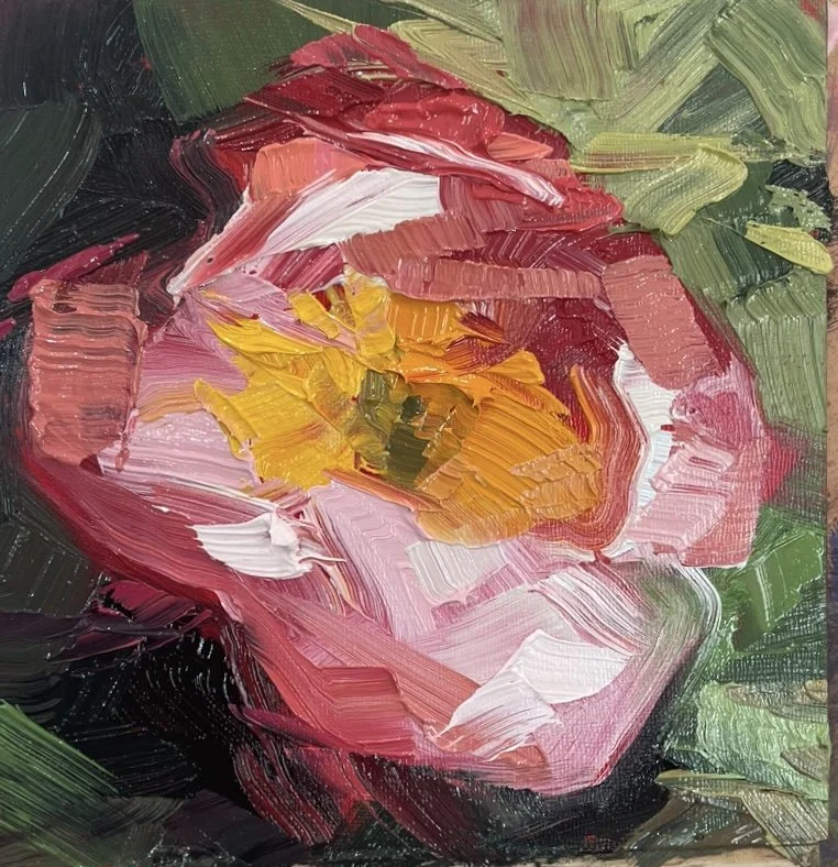 A Peony III (2024), Oil on Paper, 6” x 6"