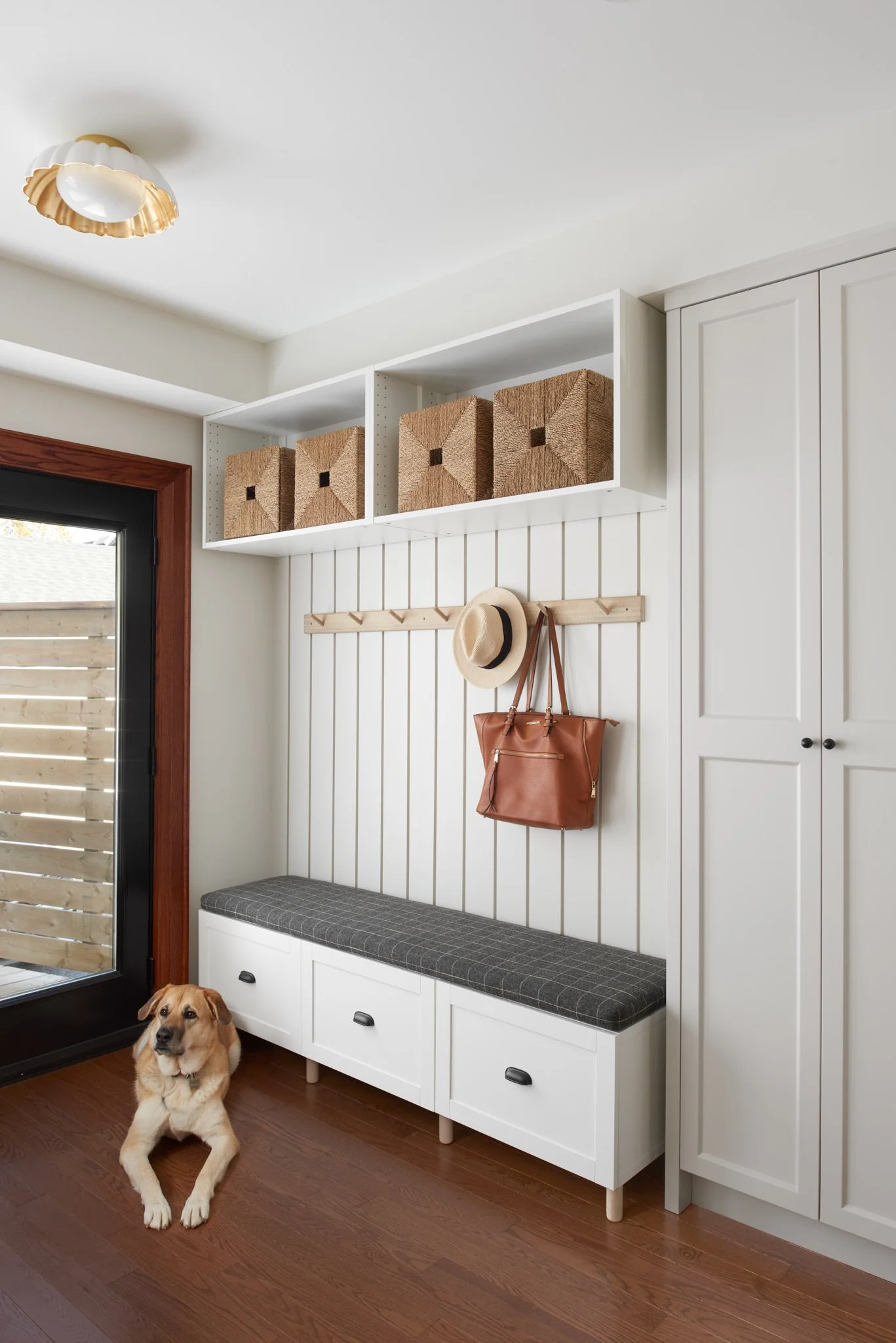 SarahElizabeth_Murrie_06_Dog2_WebRes.jpg
