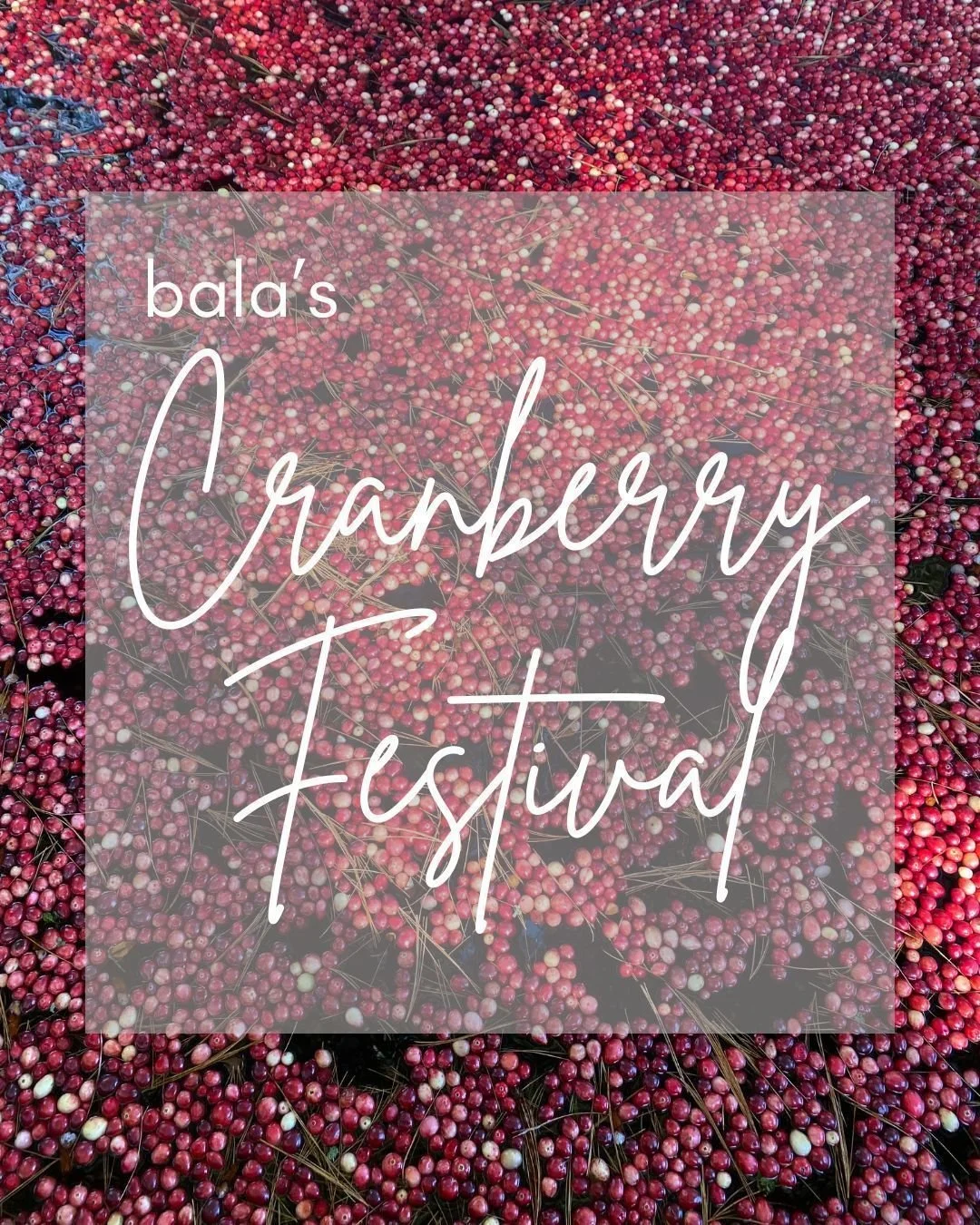 This weekend, the Bala Cranberry Festival is in full swing &mdash; and it&rsquo;s one of my favourite fall traditions. Between the deep berry tones, rich textures, and cozy fall layers, it&rsquo;s hard not to come home inspired.

Cranberry reds and w