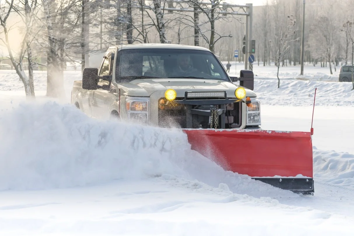 Snow Removal and Trees: Let a Certified Arborist Help!