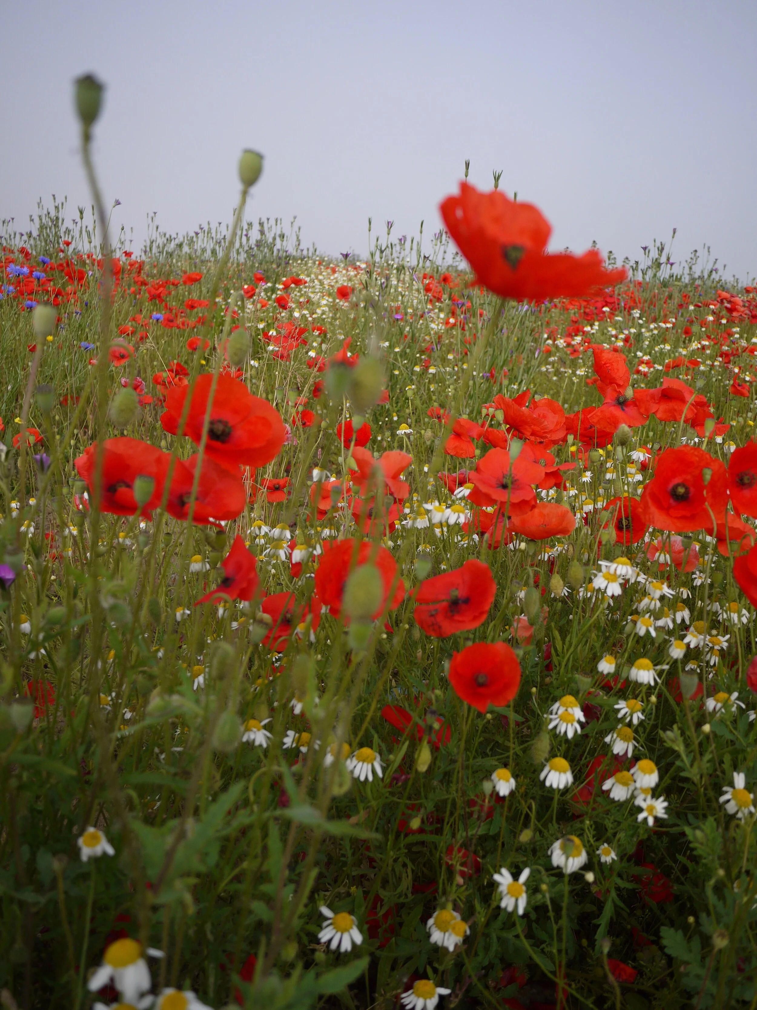 Returning to blogging