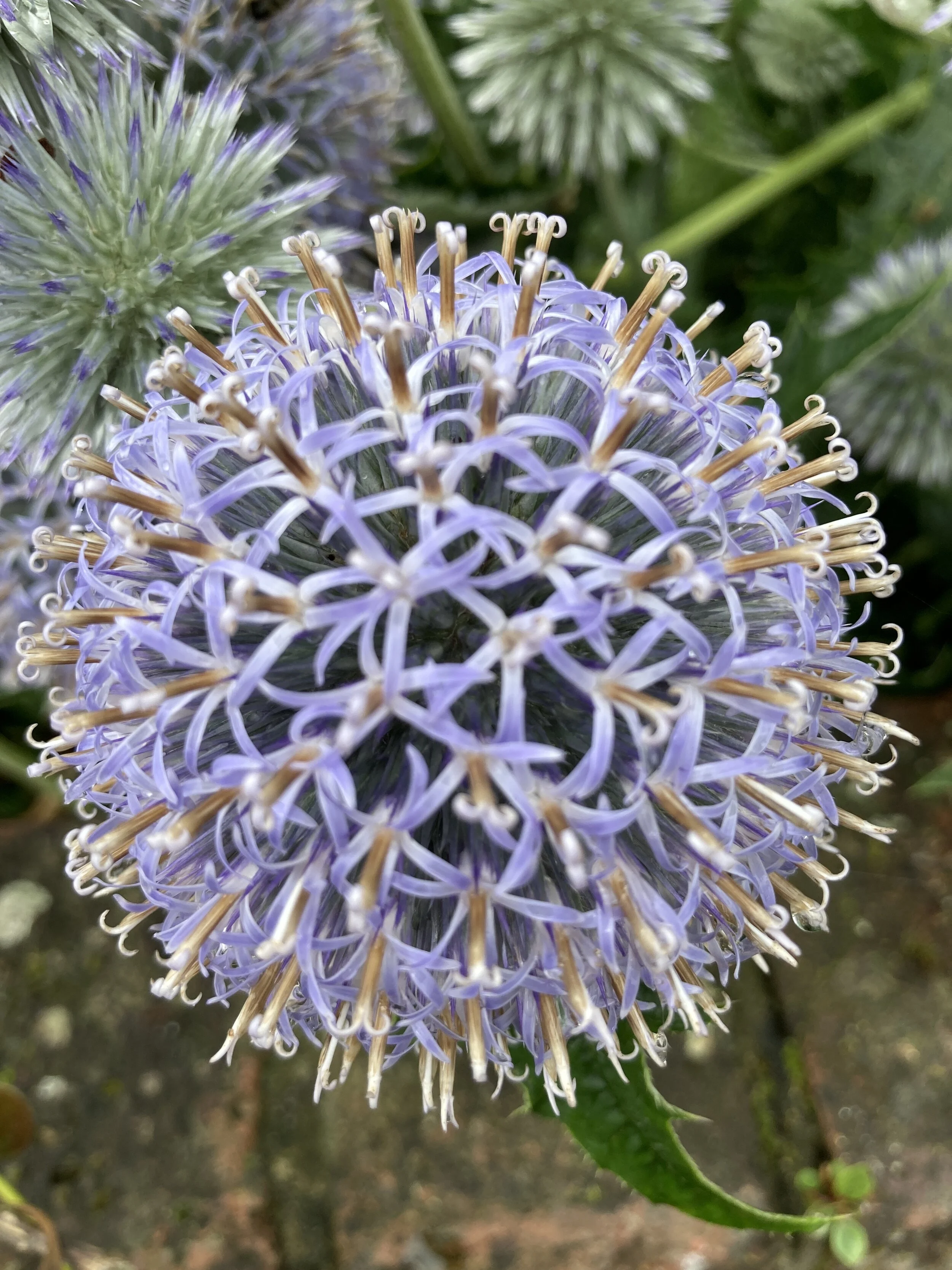 Where does the time go?