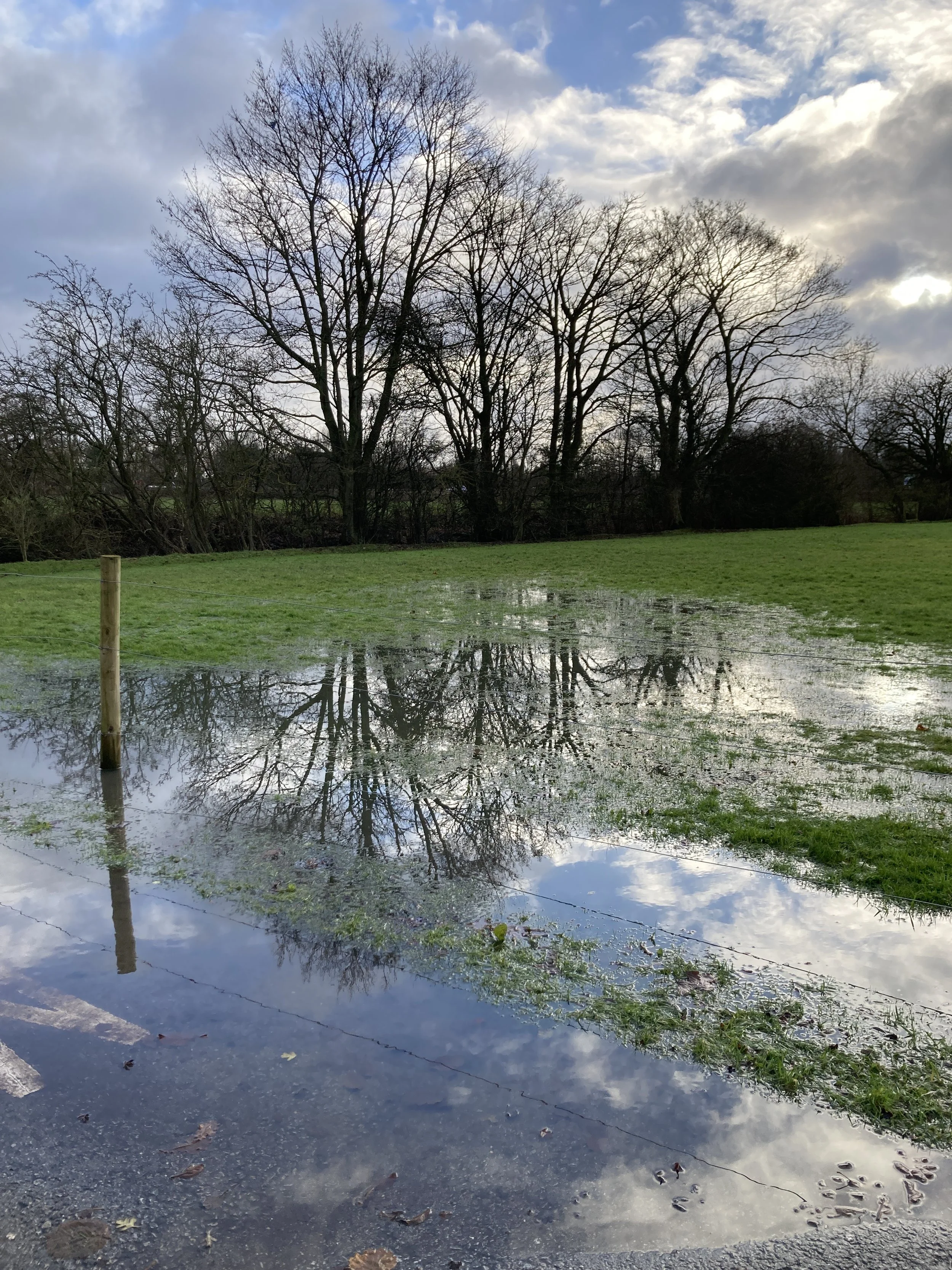 The importance of reflections