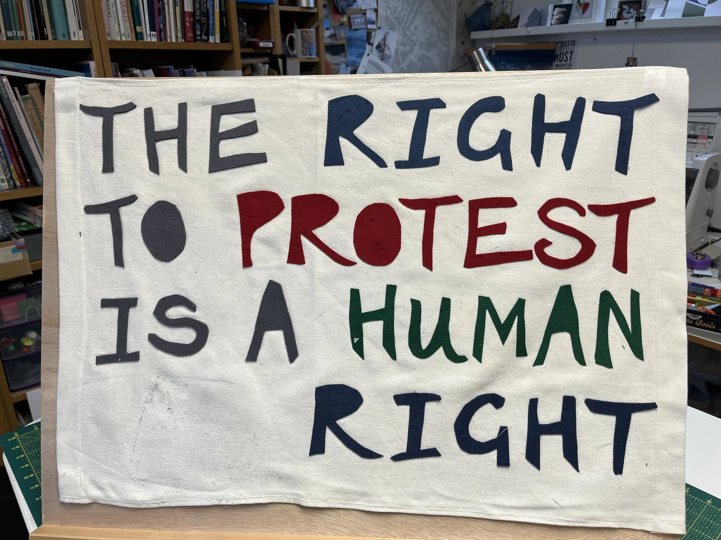 The Right to Protest