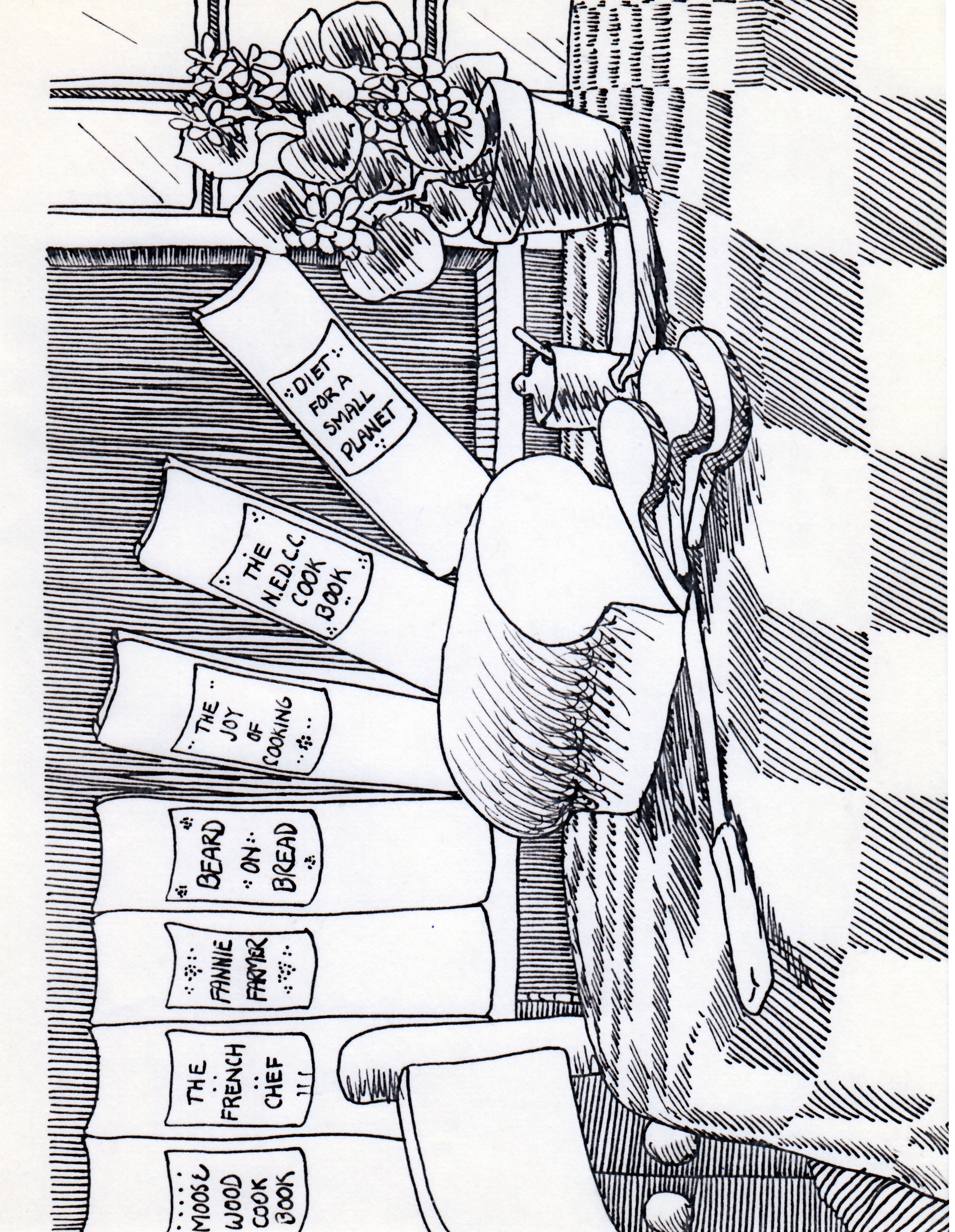 24 illustration.png