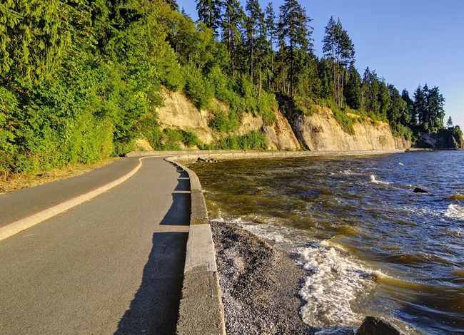 Stanley Park Seawall - Vancouver Walk and Talk Therapy